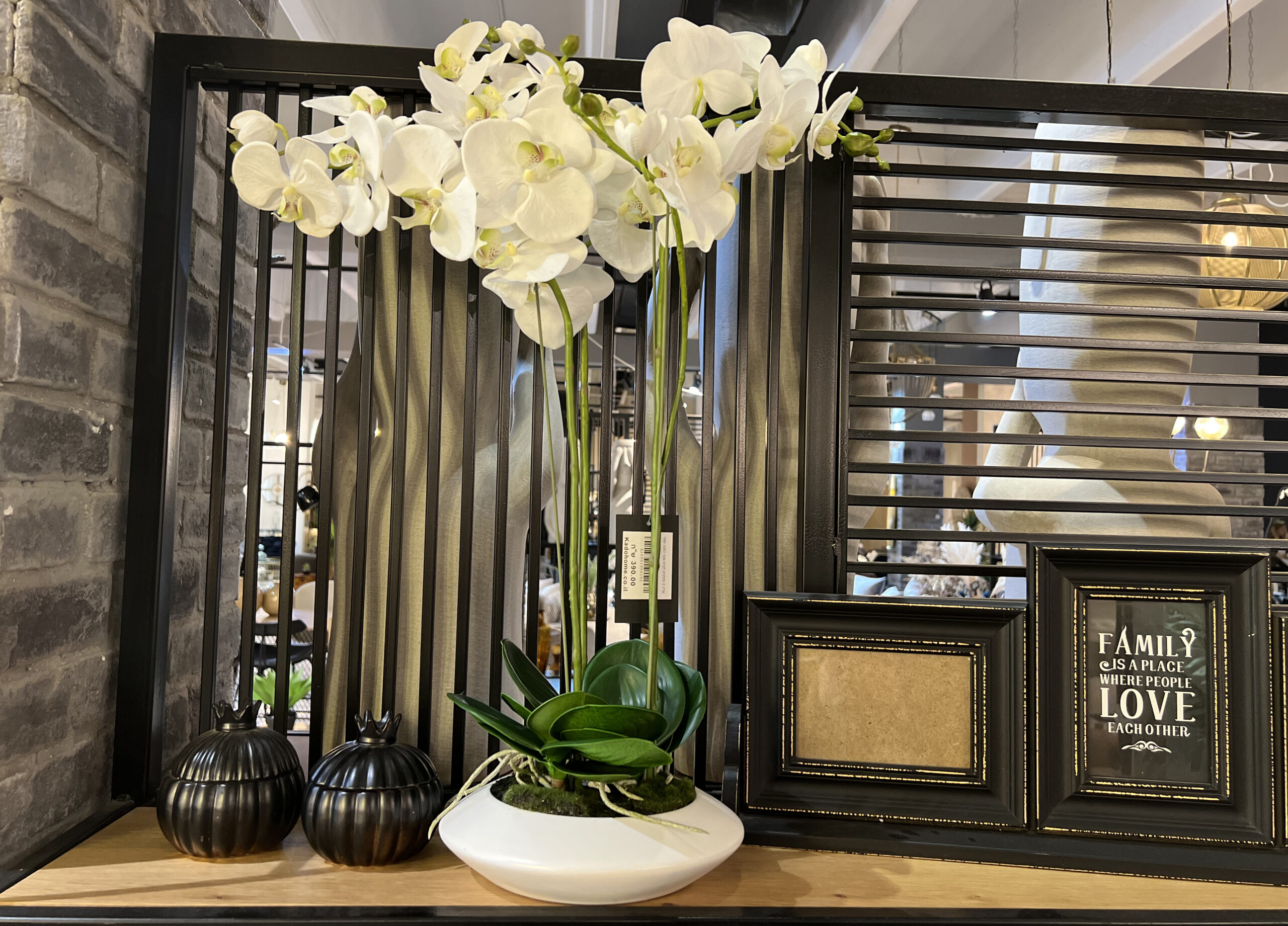 עציץ 3 סחלבים עציץ 3 סחלבים