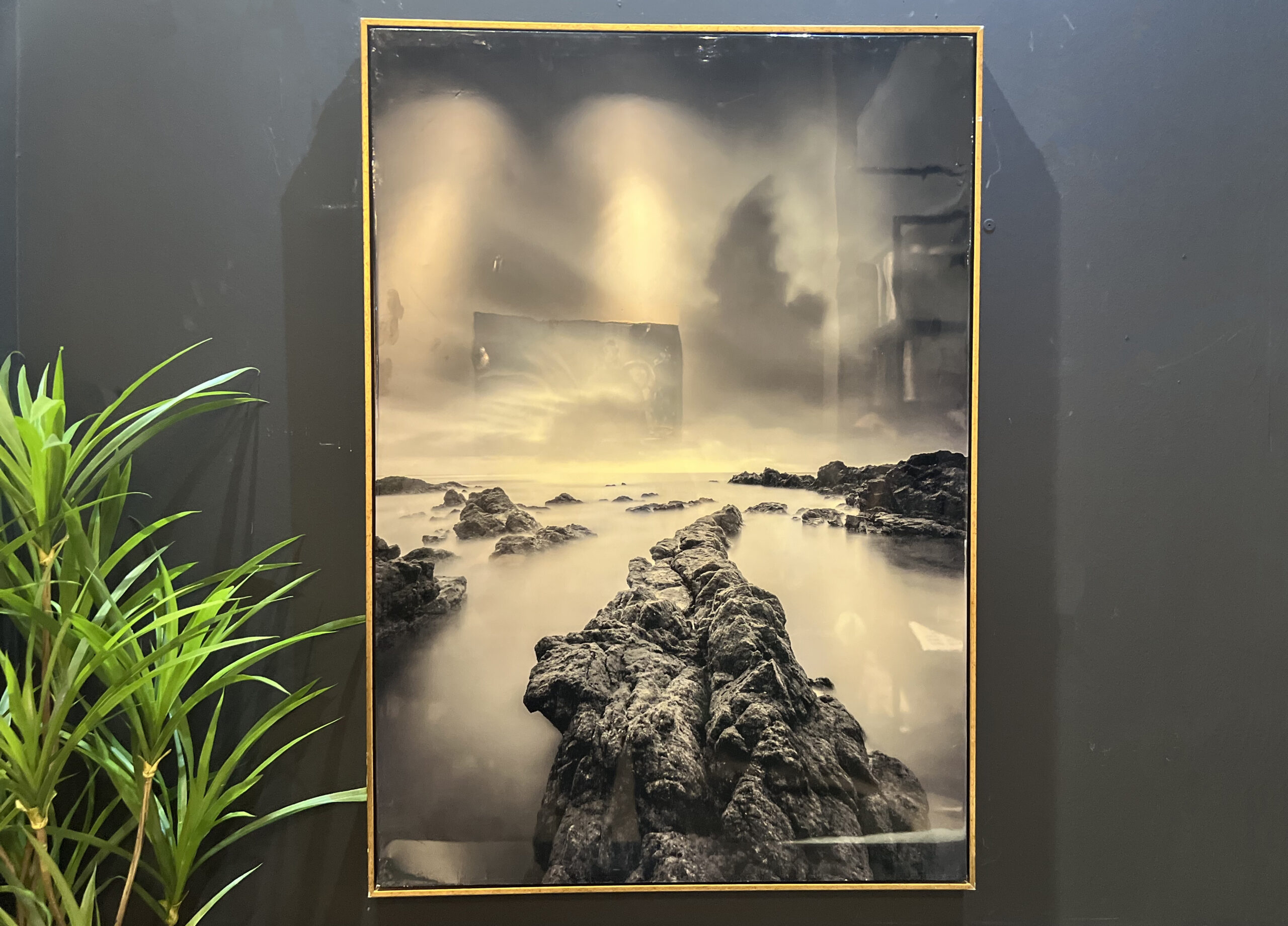 תמונה מבריקה נוף