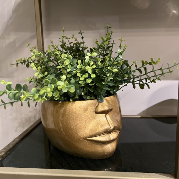 כד זהב מבריק חצי פנים