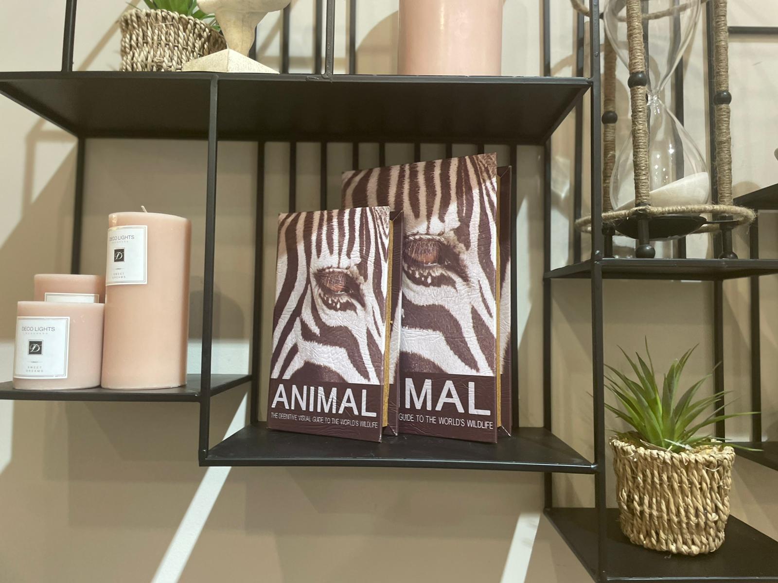 ספר אנימל זברה עם אחסון ספר אנימל זברה עם אחסון