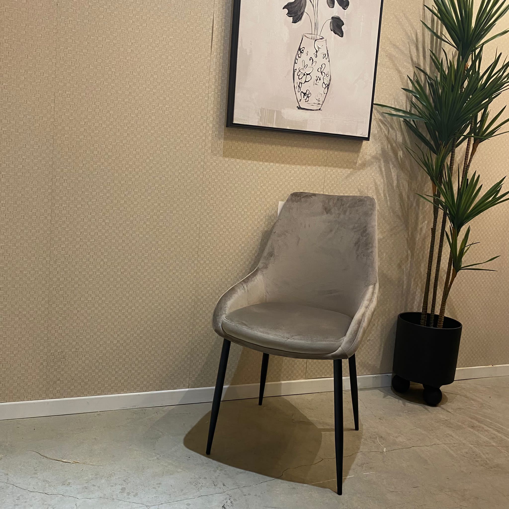 כיסא פינת אוכל מעוצב דגם אופל קטיפה בז - 4 אחרונים במלאי! כיסא פינת אוכל מעוצב דגם אופל קטיפה בז - 4 אחרונים במלאי!