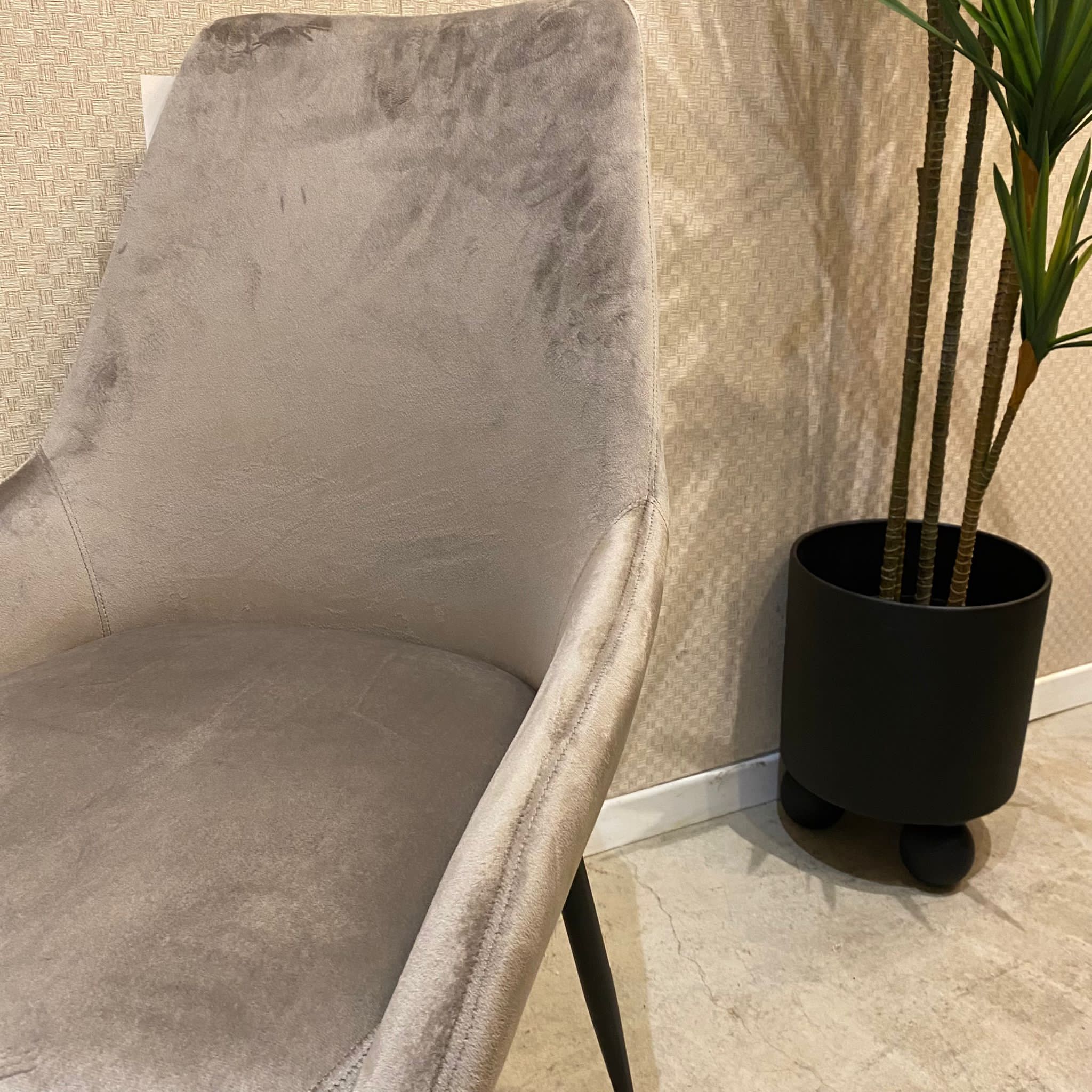 כיסא פינת אוכל מעוצב דגם אופל קטיפה בז - 4 אחרונים במלאי! כיסא פינת אוכל מעוצב דגם אופל קטיפה בז - 4 אחרונים במלאי!