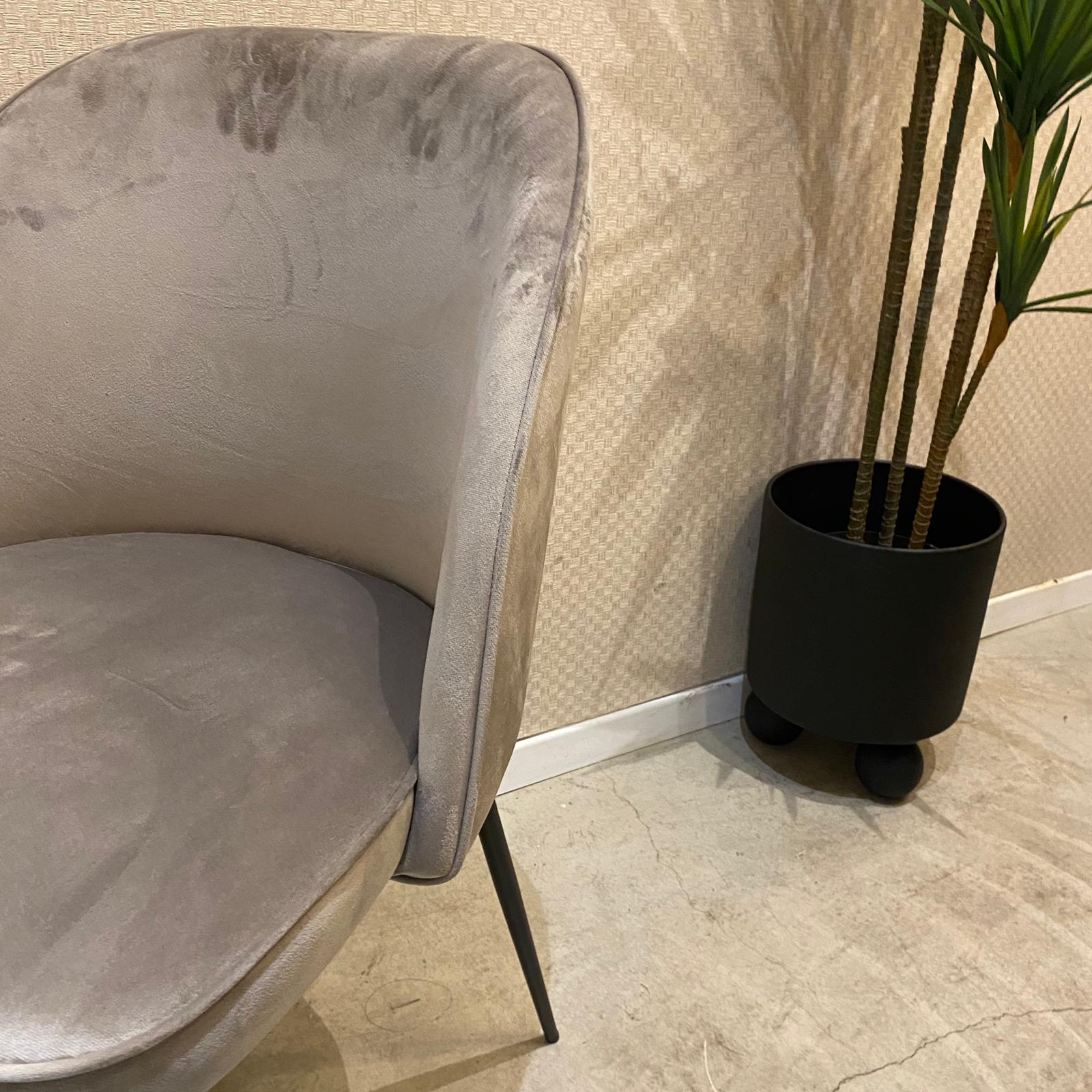 כיסא פינת אוכל דגם אמילי קטיפה בז כיסא פינת אוכל דגם אמילי קטיפה בז