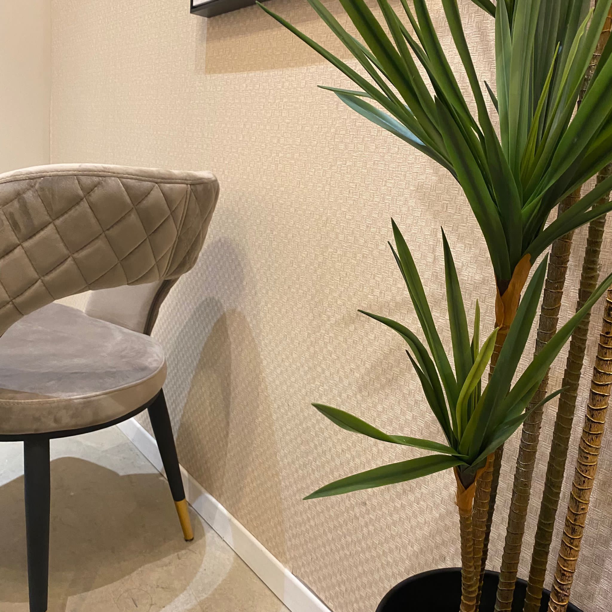 כיסא פינת אוכל דגם ליה קטיפה בז כיסא פינת אוכל דגם ליה קטיפה בז