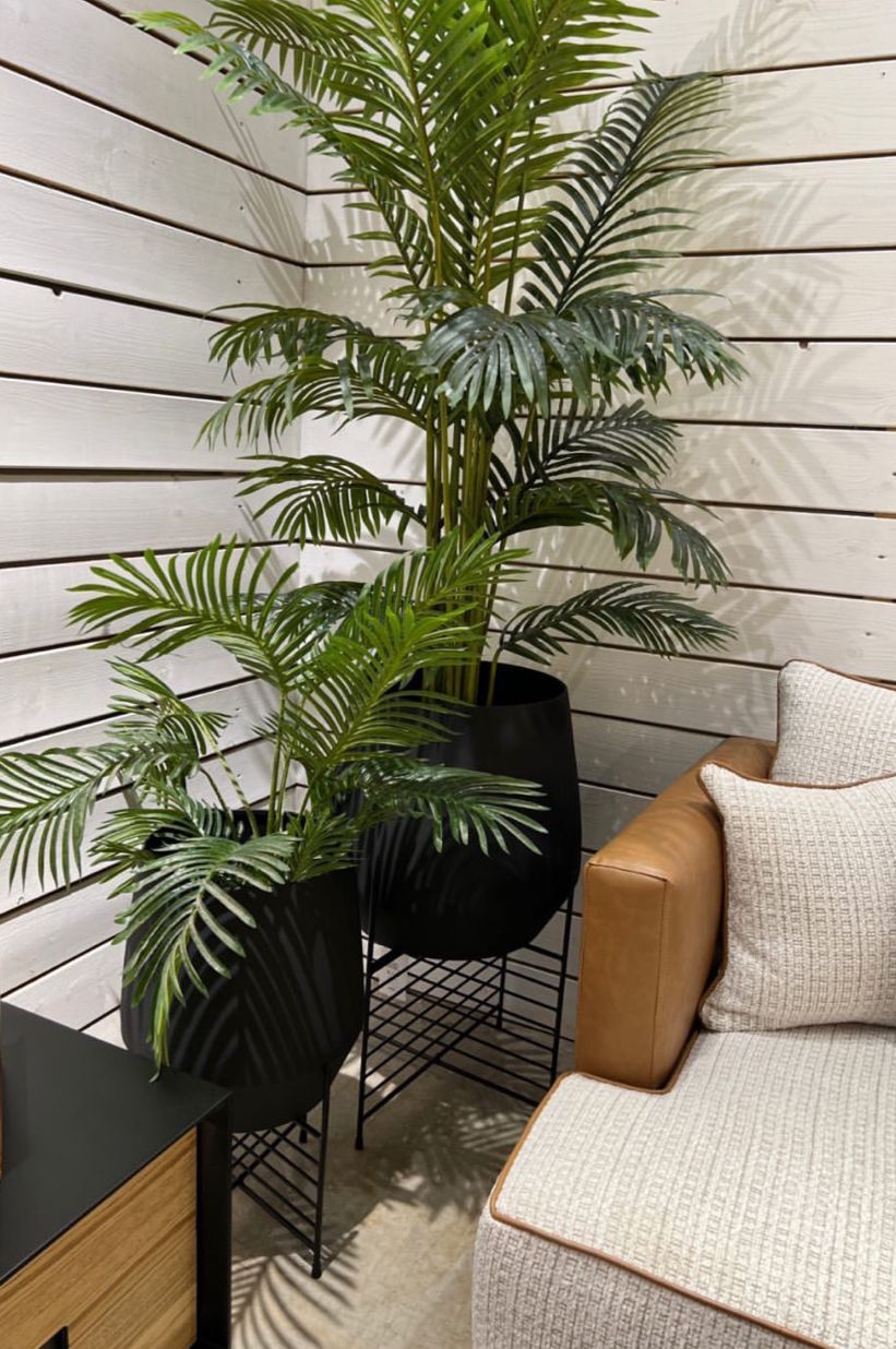 פלנטר דגם ראבי עם סטנד שחור פלנטר דגם ראבי עם סטנד שחור