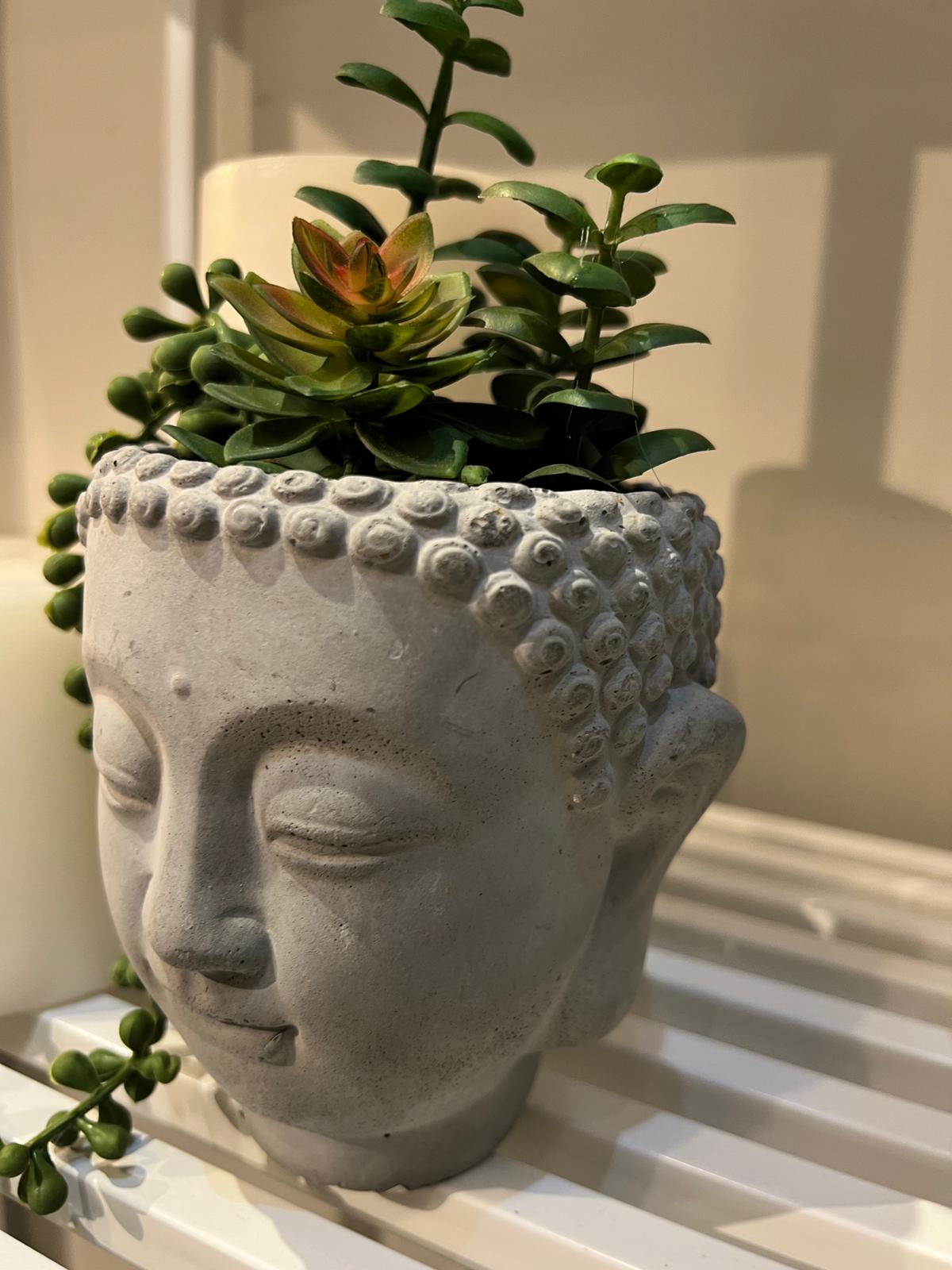 כד פנים בטון עם עציץ