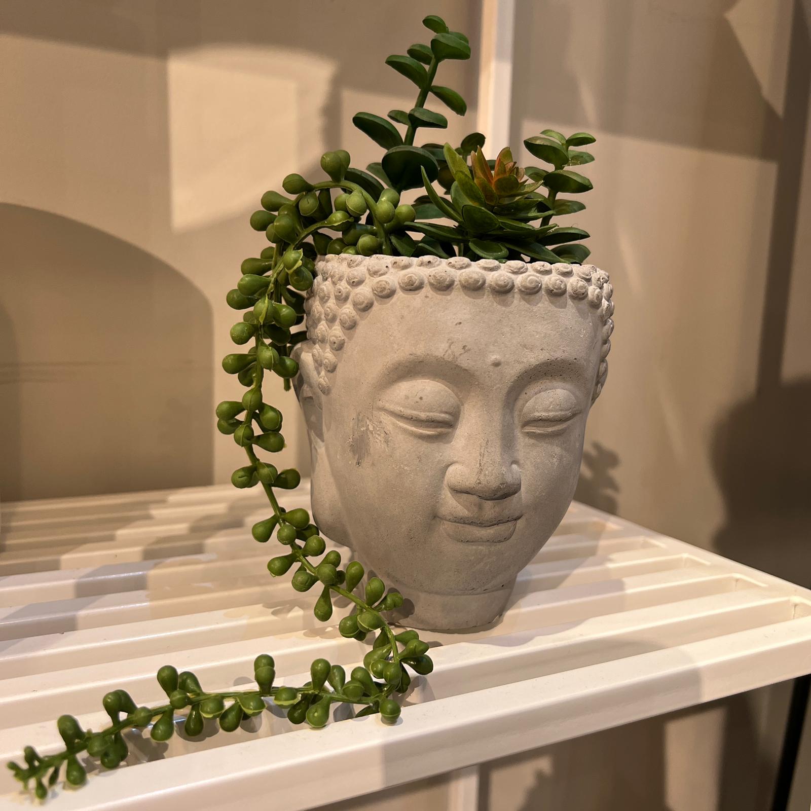 כד פנים בטון עם עציץ