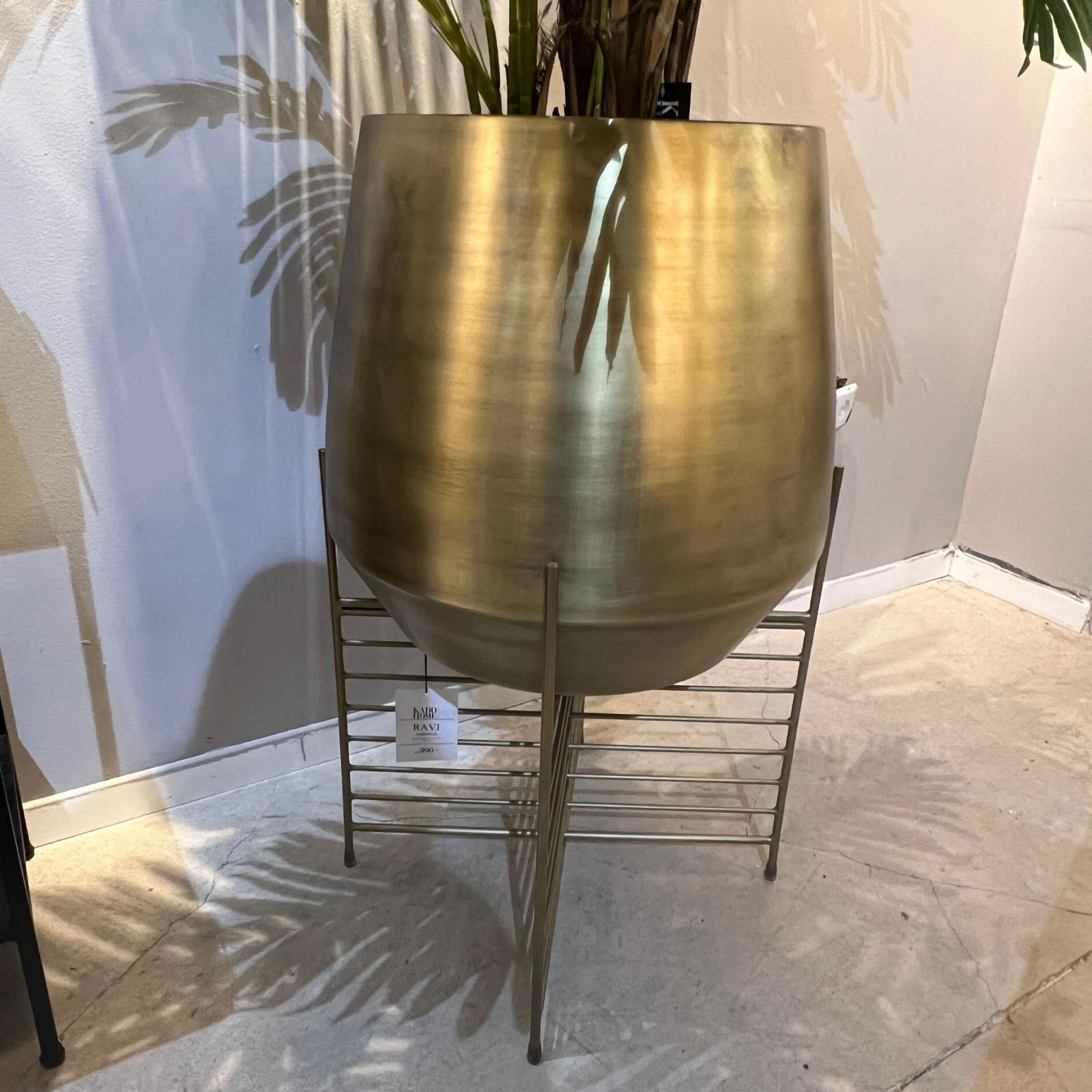 פלנטר דגם ראבי עם סטנד זהב פלנטר דגם ראבי עם סטנד זהב