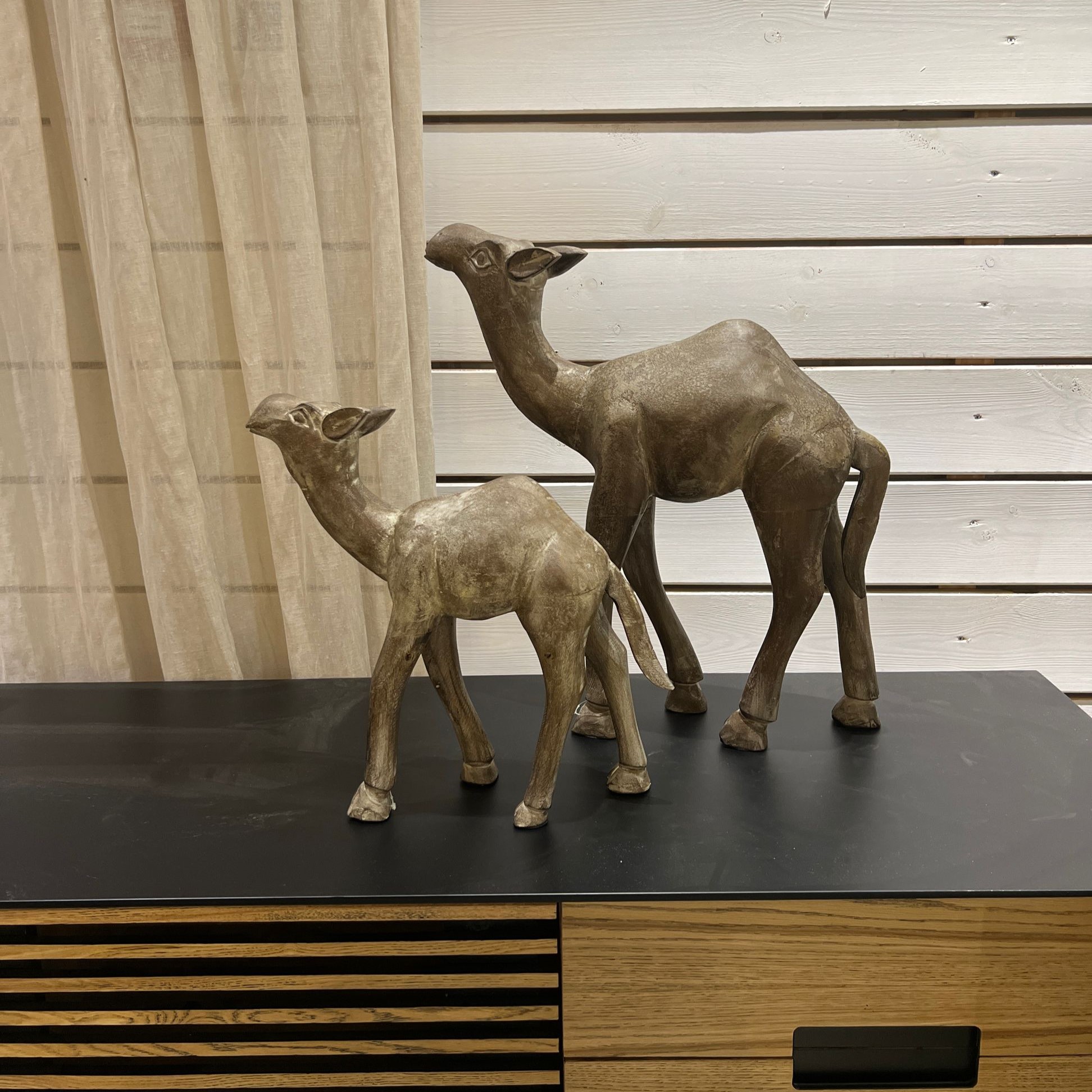 גמל עץ דגם אמבסדור גמל עץ דגם אמבסדור