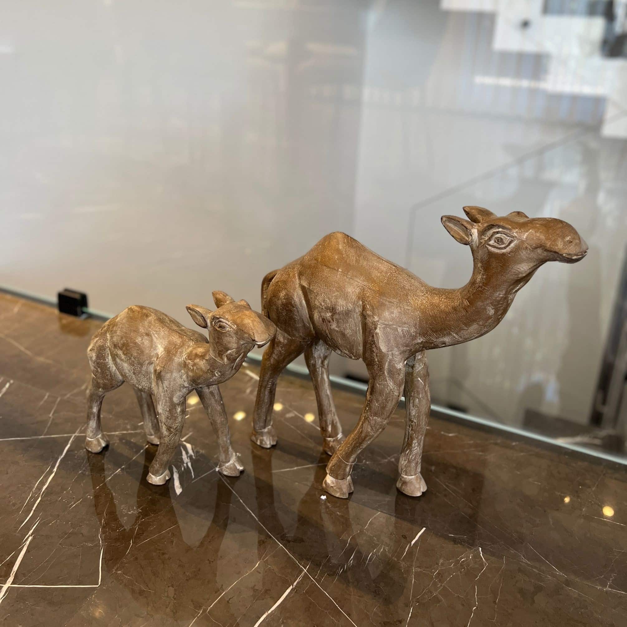 גמל עץ דגם אמבסדור גמל עץ דגם אמבסדור