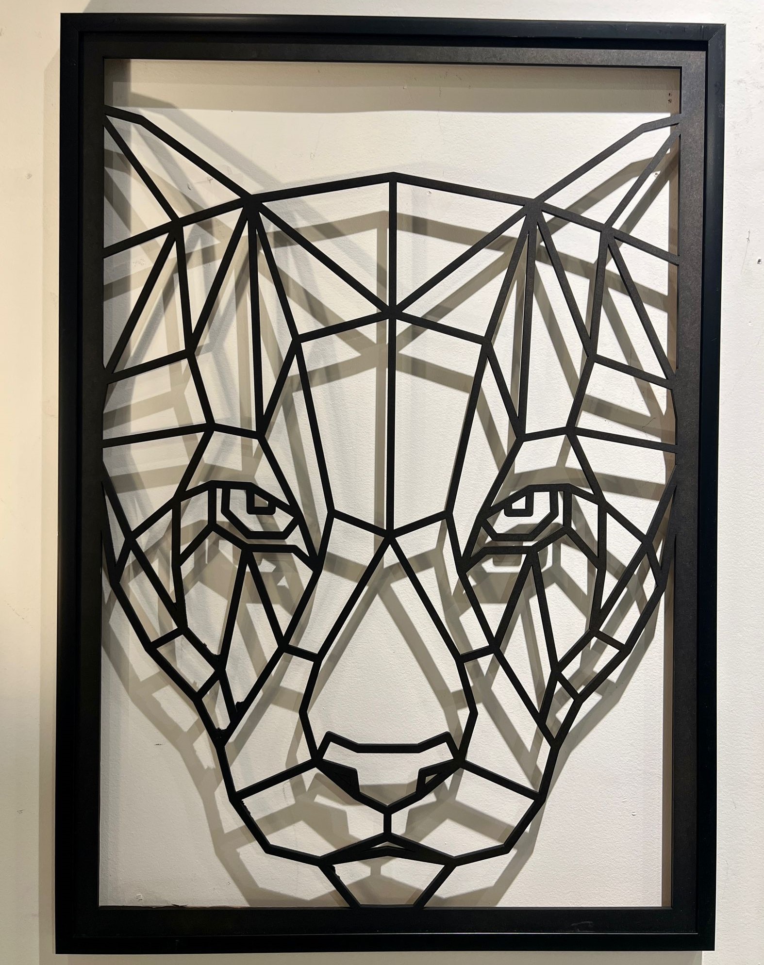 תמונת לייזר 70/100 ס"מ +מסגרת מוריאל