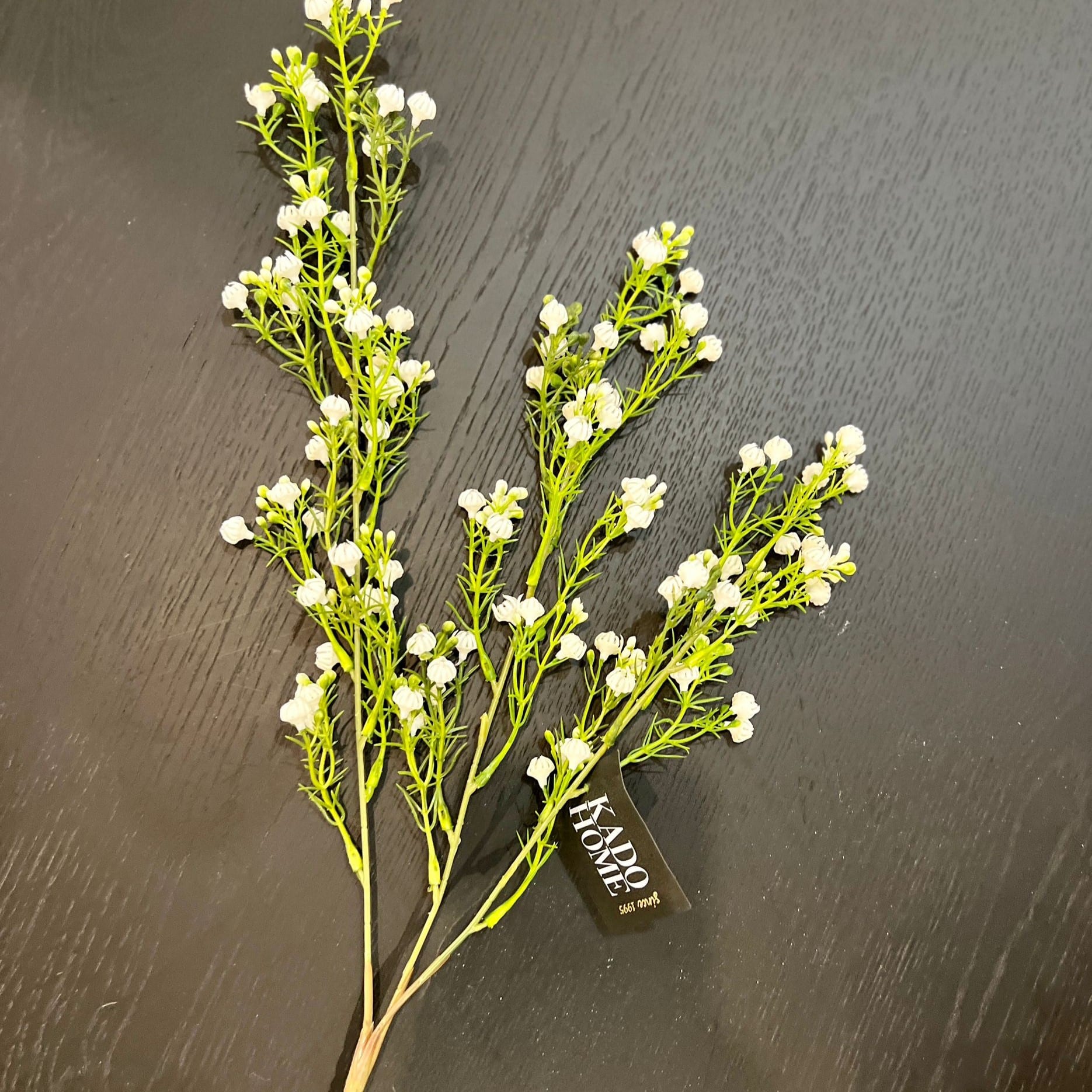 ענף גיבסנית ירוק כהה דגם איקו ענף גיבסנית ירוק כהה דגם איקו