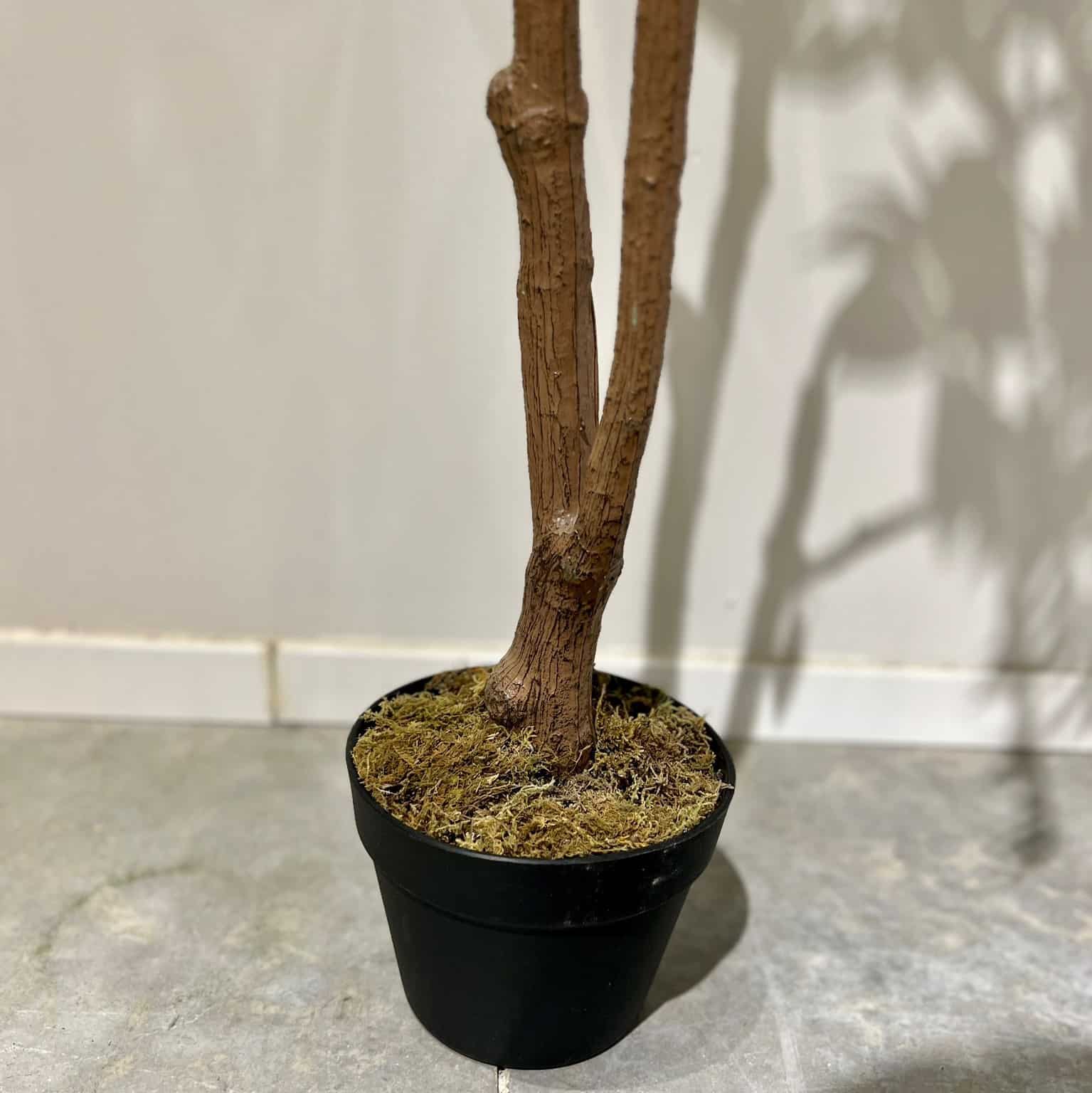 עץ עציץ עלים קטנים עדינים דגם איקו עץ עציץ עלים קטנים עדינים דגם איקו