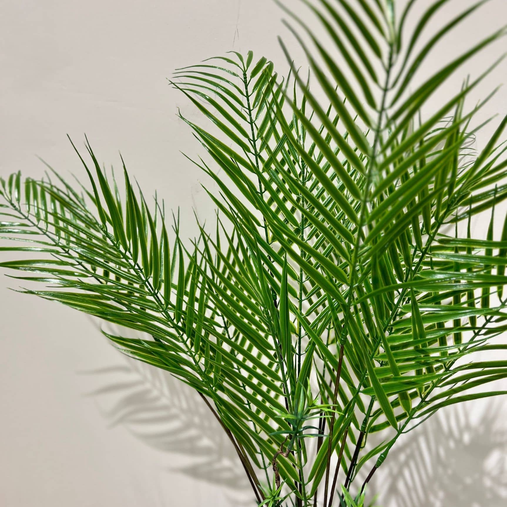 עציץ דקל עדין בסיס ירוק דשא דגם איקו עציץ דקל עדין בסיס ירוק דשא דגם איקו