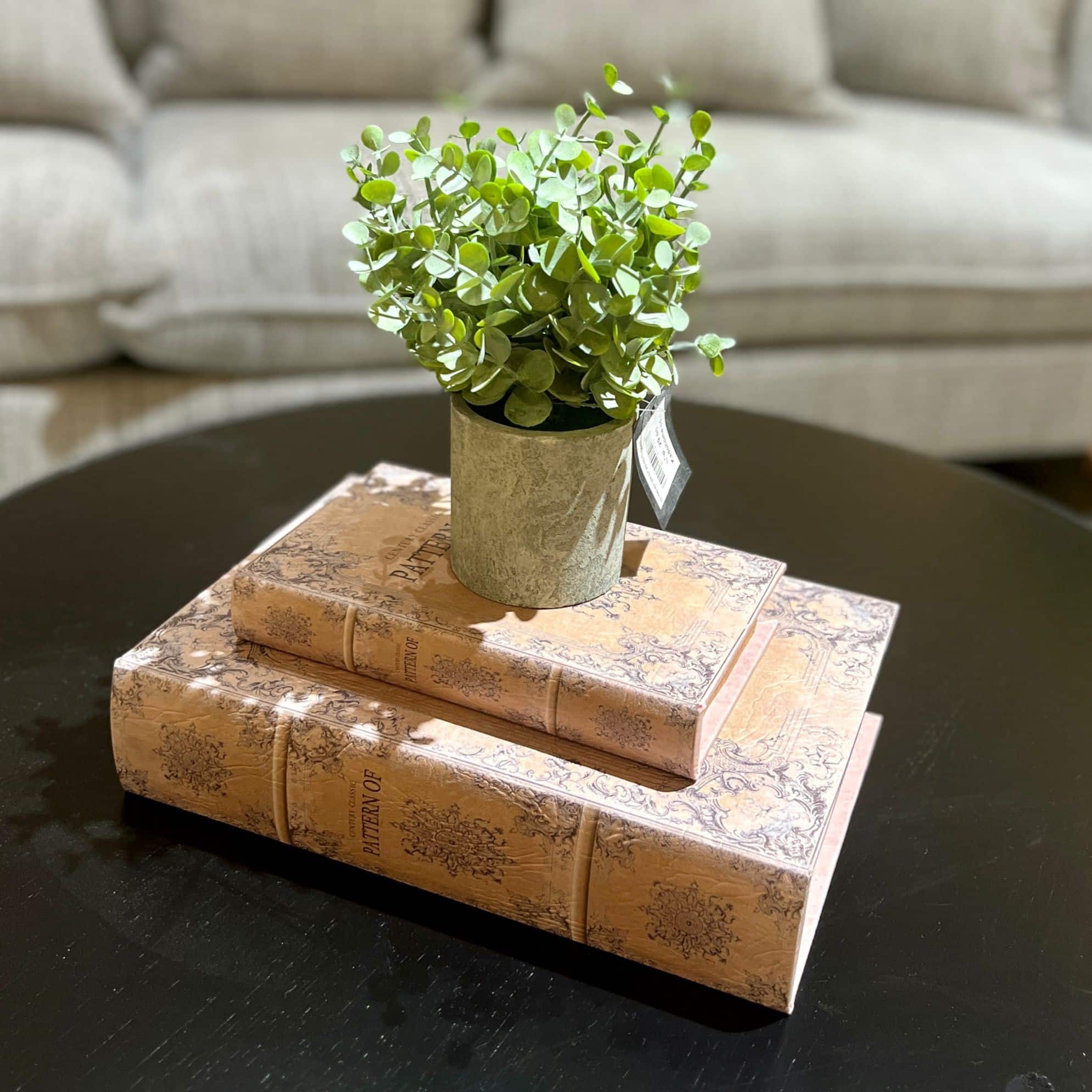 עציץ ירק כלי בטון קטן דגם איקו עציץ ירק כלי בטון קטן דגם איקו