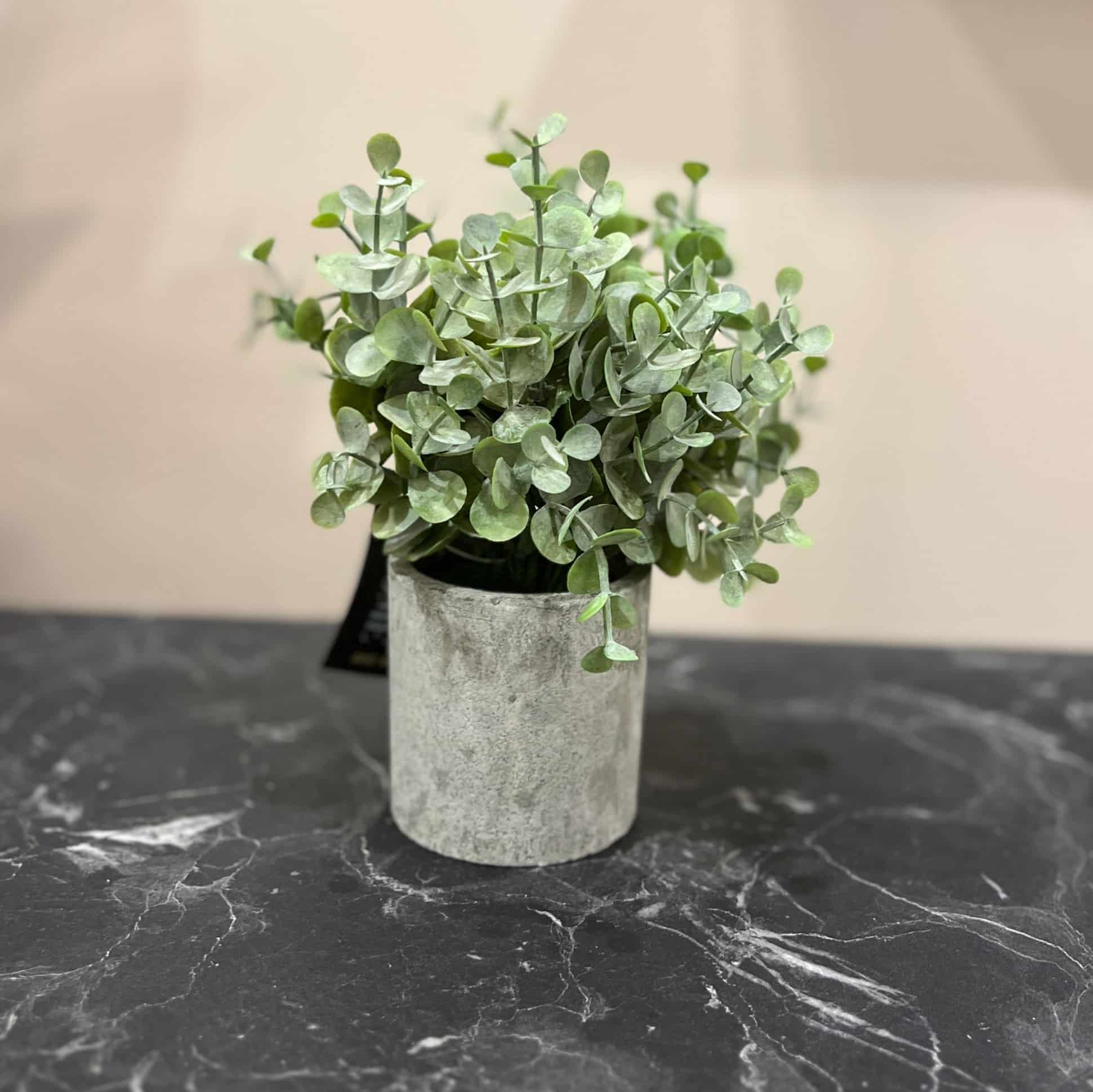 עציץ ירק כלי בטון קטן דגם איקו עציץ ירק כלי בטון קטן דגם איקו