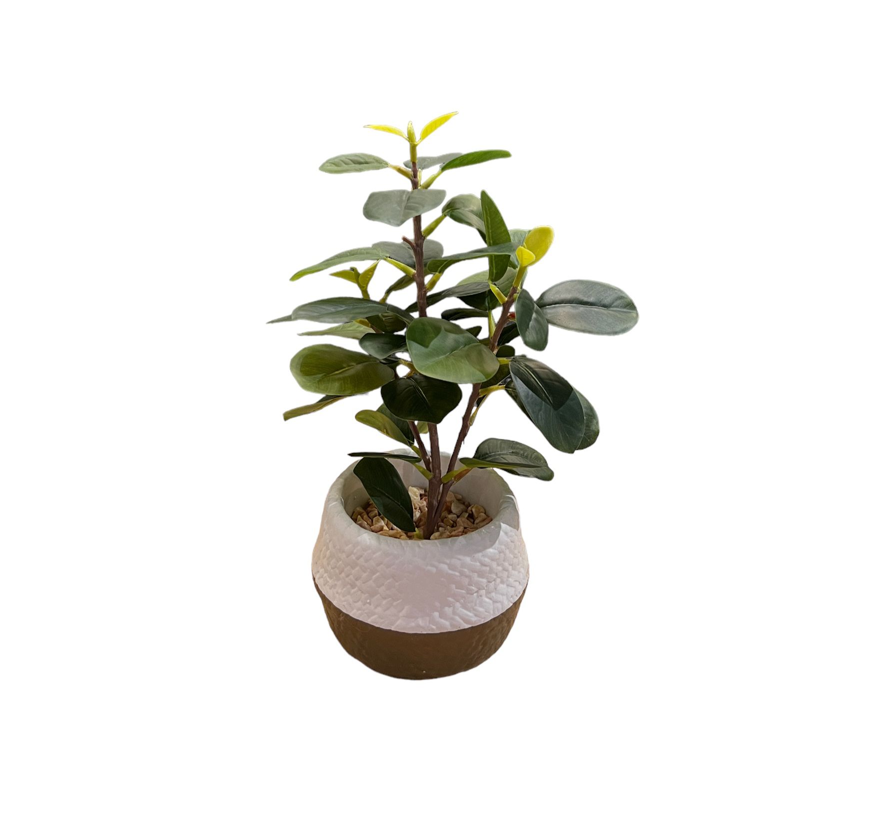 עציץ כלי נסקפה לבן חצוי דגם איקו עציץ כלי נסקפה לבן חצוי דגם איקו