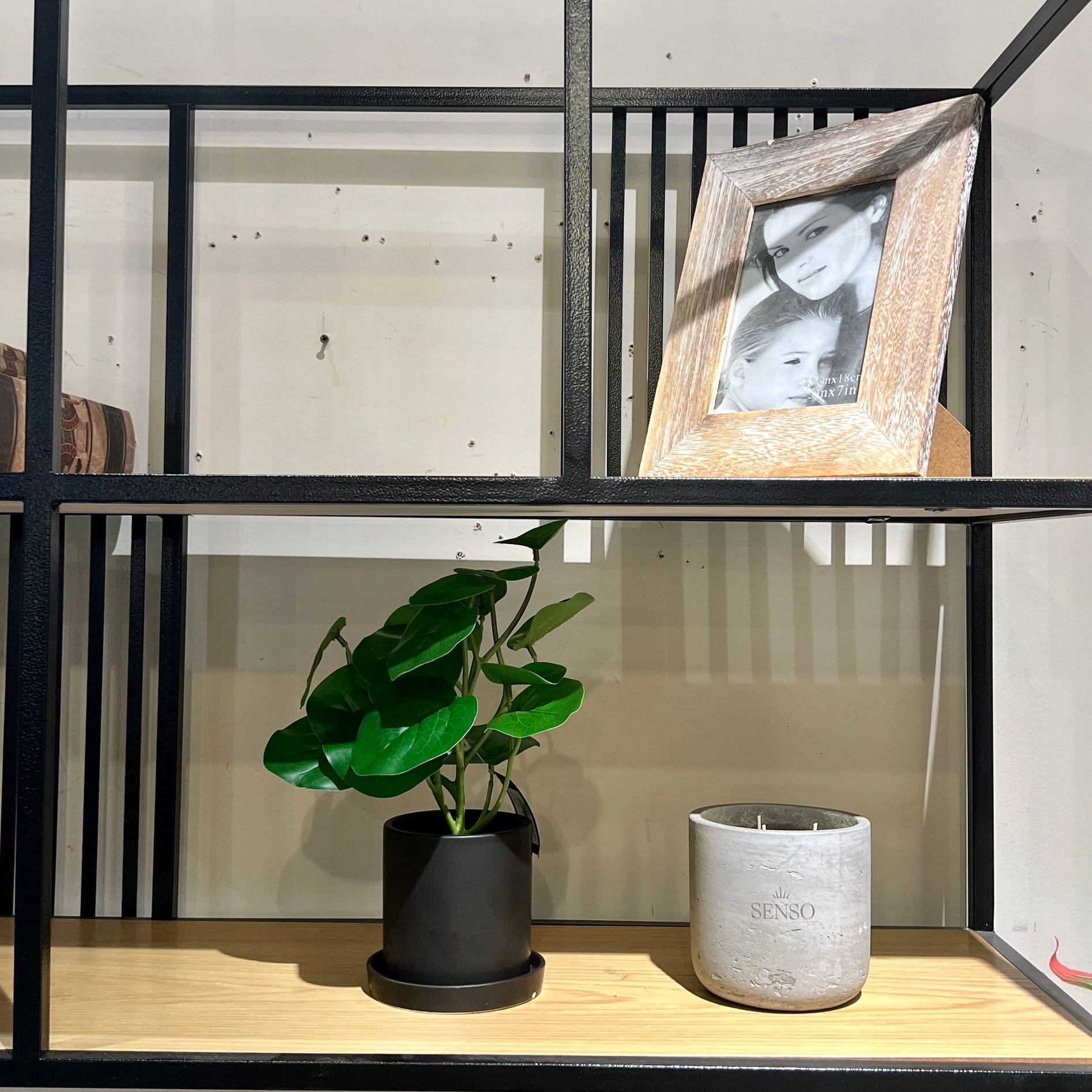 עציץ כלי שחור עלים ירוקים דגם איקו עציץ כלי שחור עלים ירוקים דגם איקו