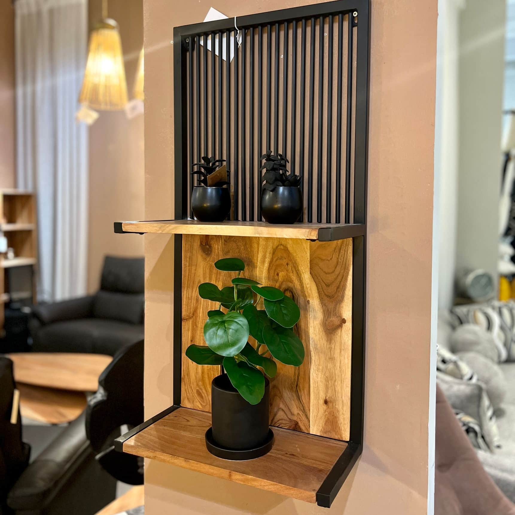 עציץ כלי שחור עלים ירוקים דגם איקו עציץ כלי שחור עלים ירוקים דגם איקו