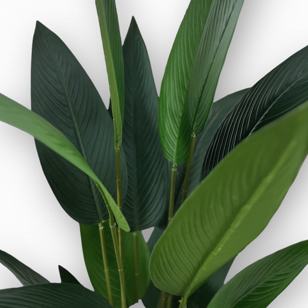 עץ עציץ עלים רחבים בננה גובה 160 דגם איקו עץ עציץ עלים רחבים בננה גובה 160 דגם איקו