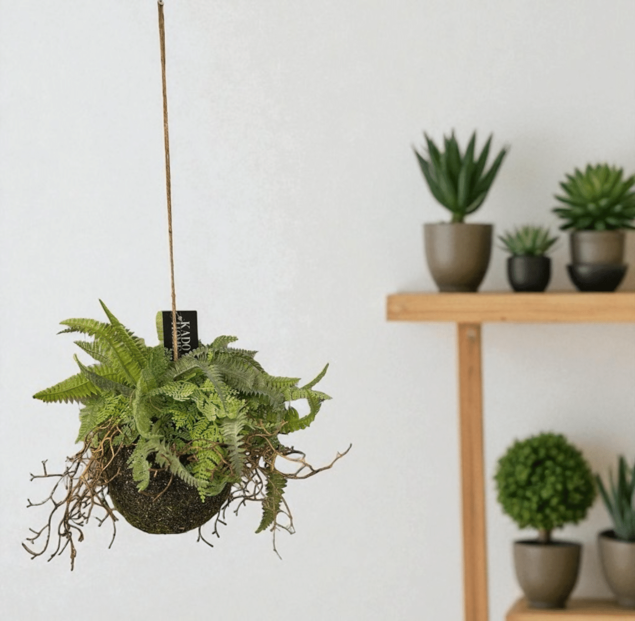 עציץ בסיס עגול ירק דגם איקו עציץ בסיס עגול ירק דגם איקו