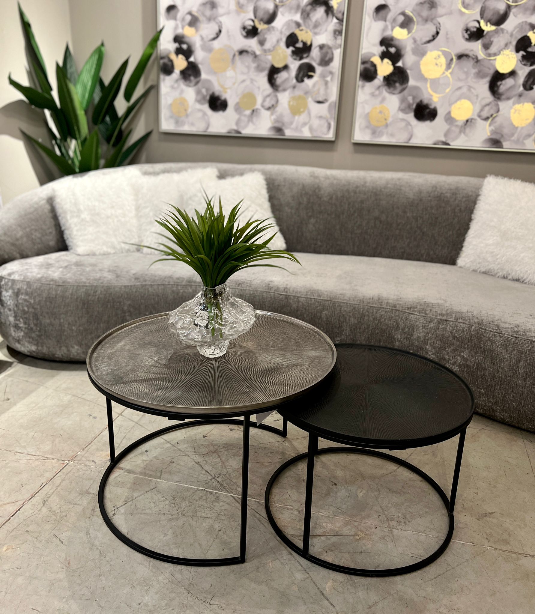 ענף ירק אלוורה עלים דקים ענף ירק אלוורה עלים דקים