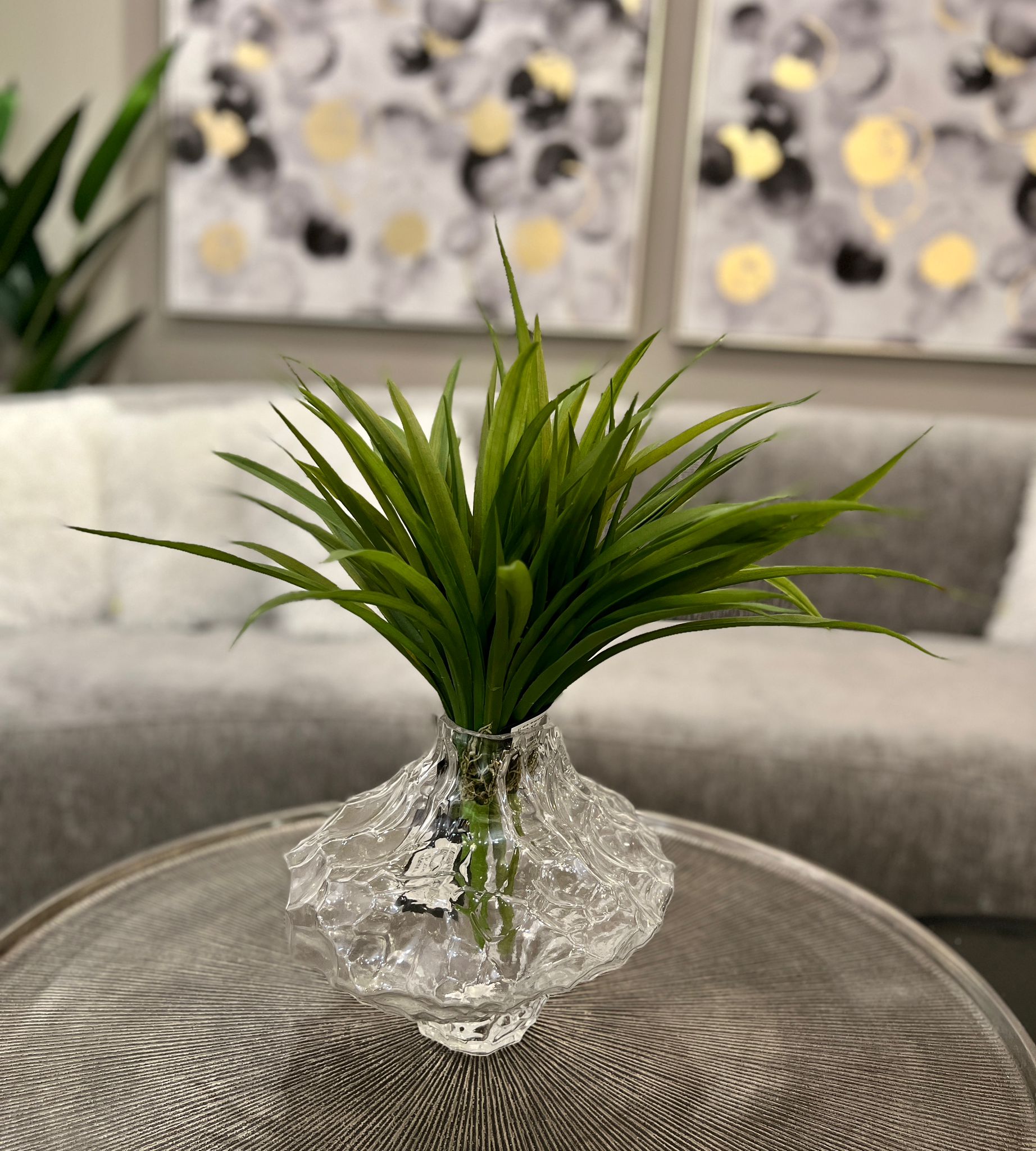 ענף ירק אלוורה עלים דקים ענף ירק אלוורה עלים דקים