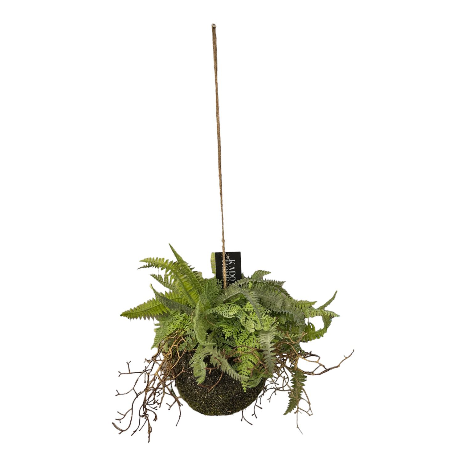 עציץ בסיס עגול ירק דגם איקו עציץ בסיס עגול ירק דגם איקו