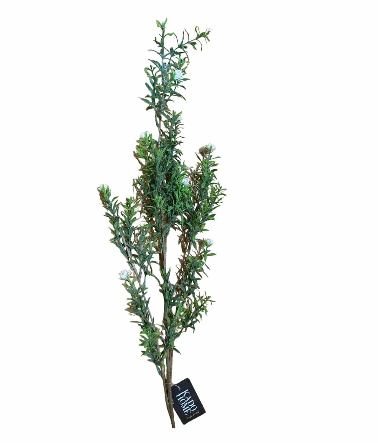 ענף ירק גובה 100 דגם איקו ענף ירק גובה 100 דגם איקו