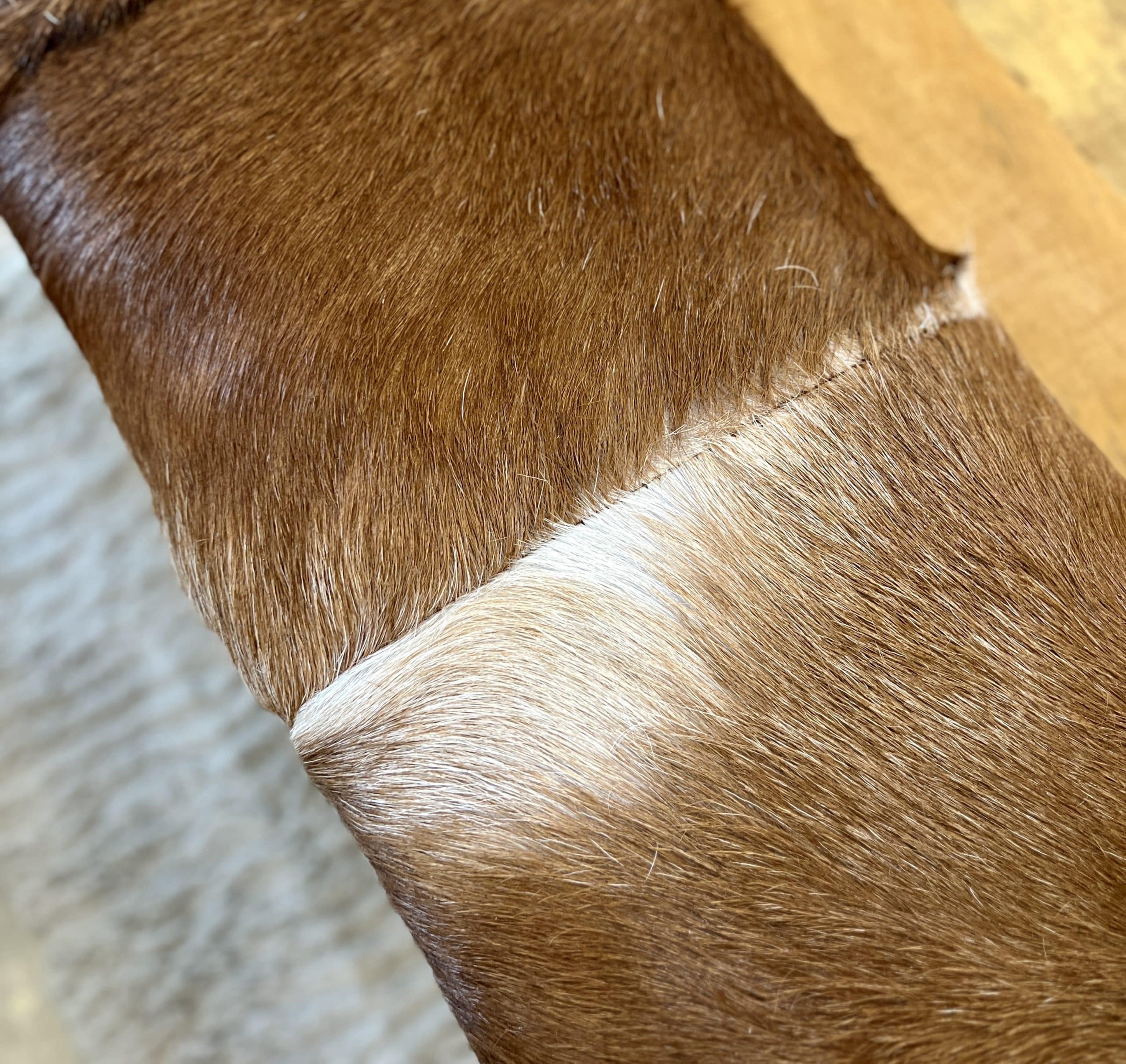 ספסל דגם אניס