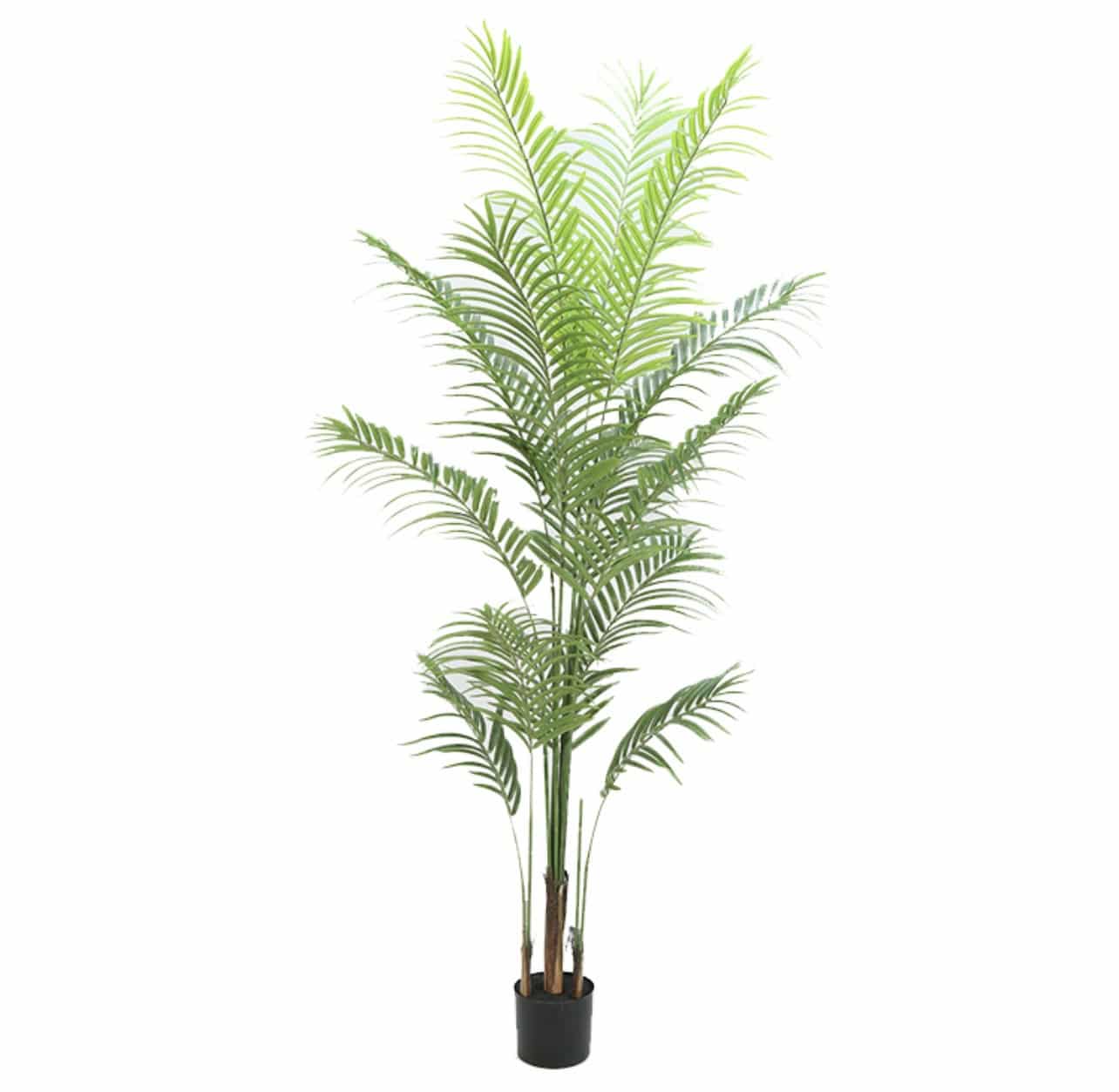 עץ עציץ דקל גובה 150 דגם אליס עץ עציץ דקל גובה 150 דגם אליס