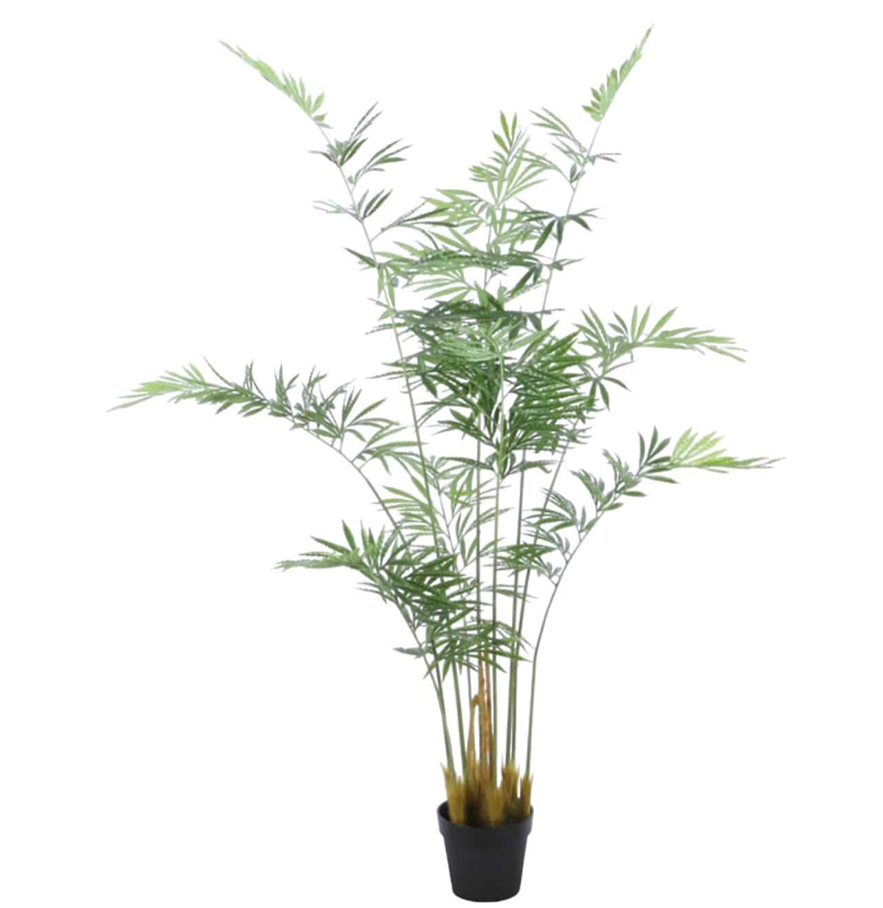 עץ עציץ דקל גובה 190 דגם אליס עץ עציץ דקל גובה 190 דגם אליס