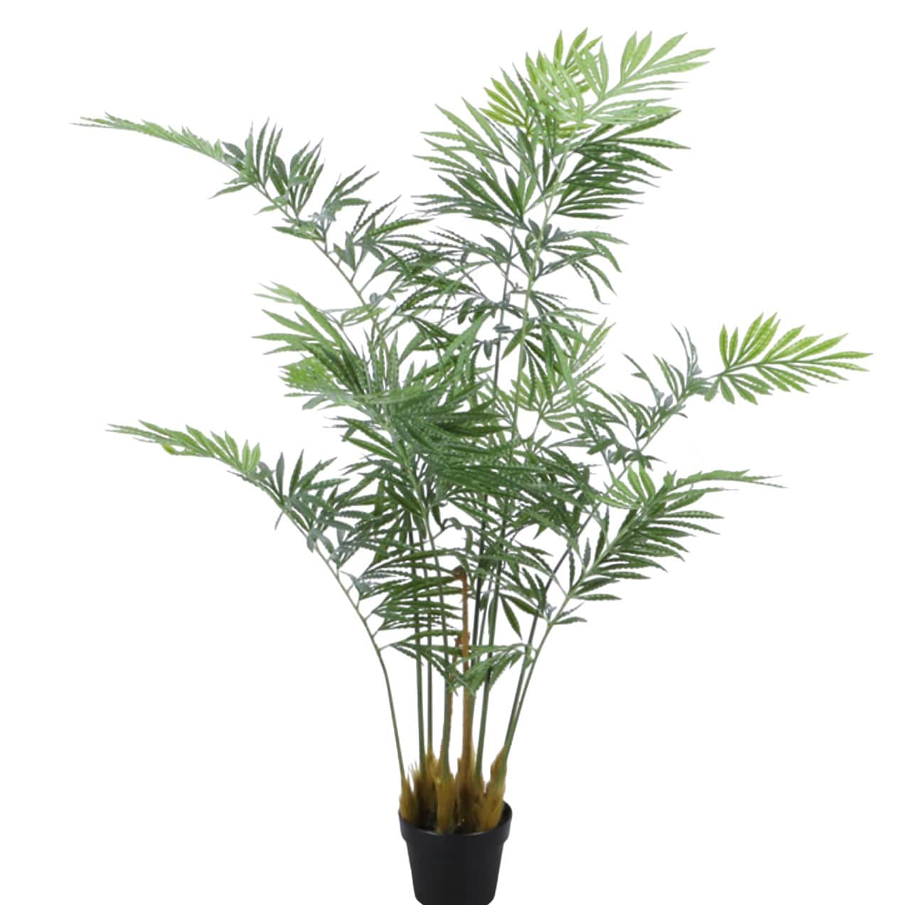 עץ עציץ דקל עלים דקים רחב גובה 140 דגם איקו עץ עציץ דקל עלים דקים רחב גובה 140 דגם איקו