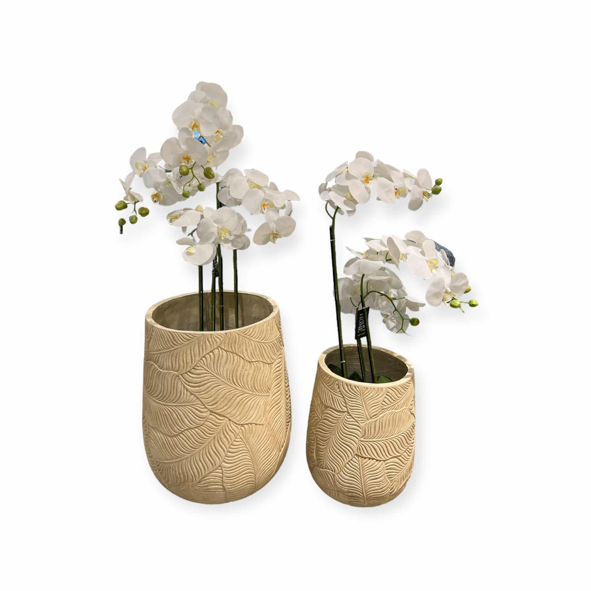 כד עלים חרוטים בז דגם איקו