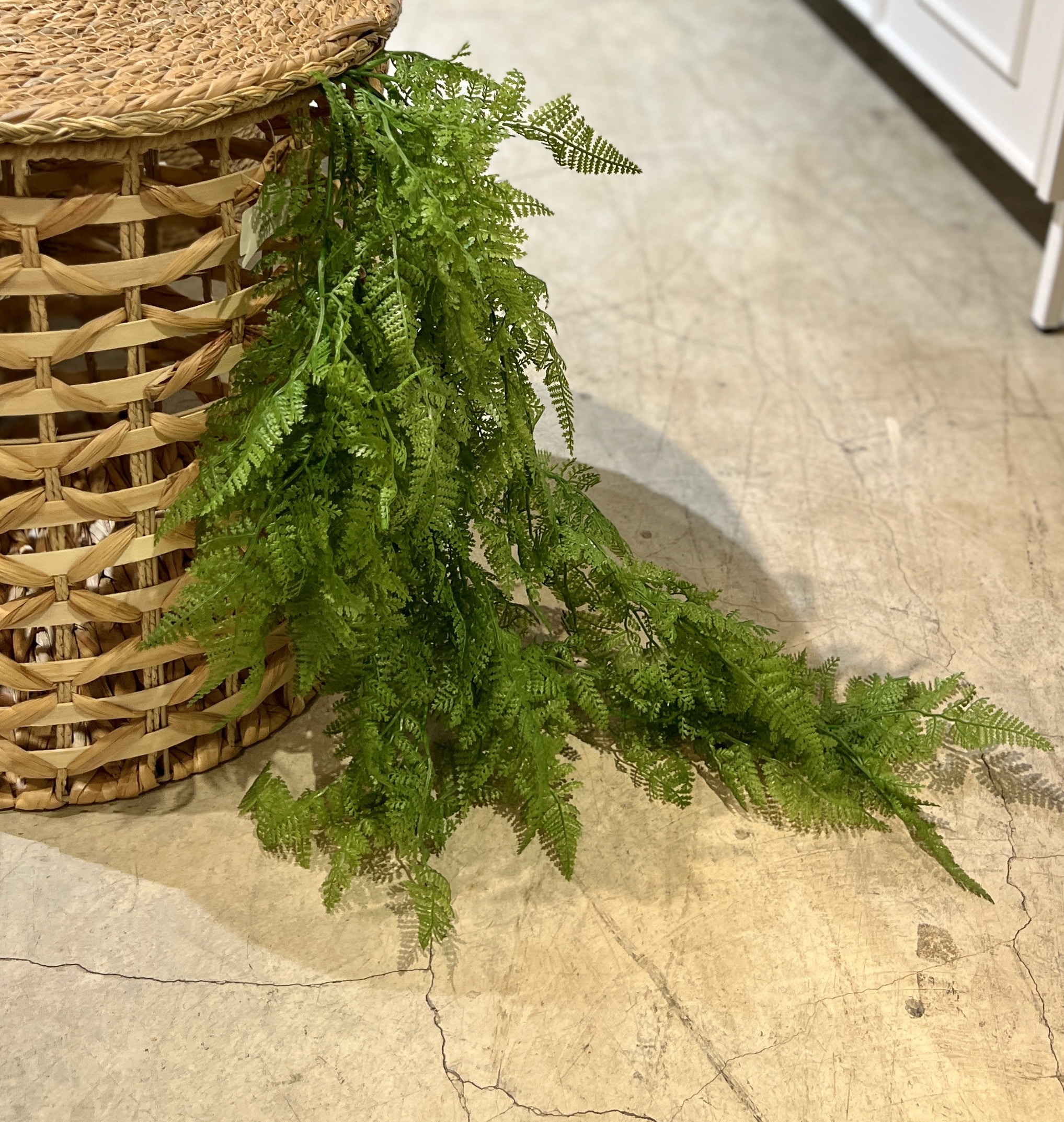 בוקט ירק נשפך עלים רכים גובה 85 ס״מ דגם אליס בוקט ירק נשפך עלים רכים גובה 85 ס״מ דגם אליס