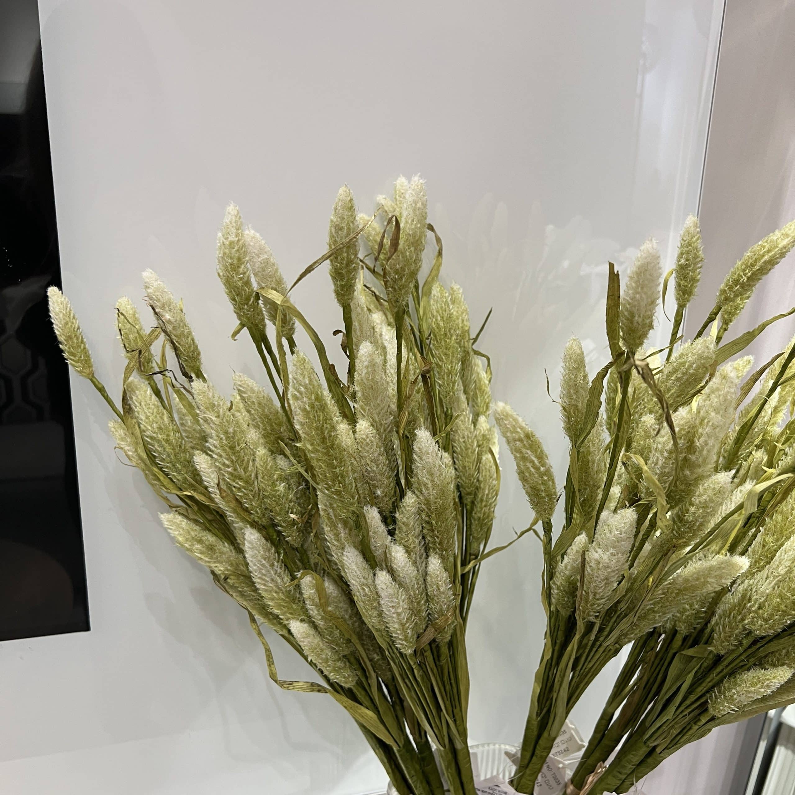 בוקט 3 ענפי פמפס דגם אליס בוקט 3 ענפי פמפס דגם אליס