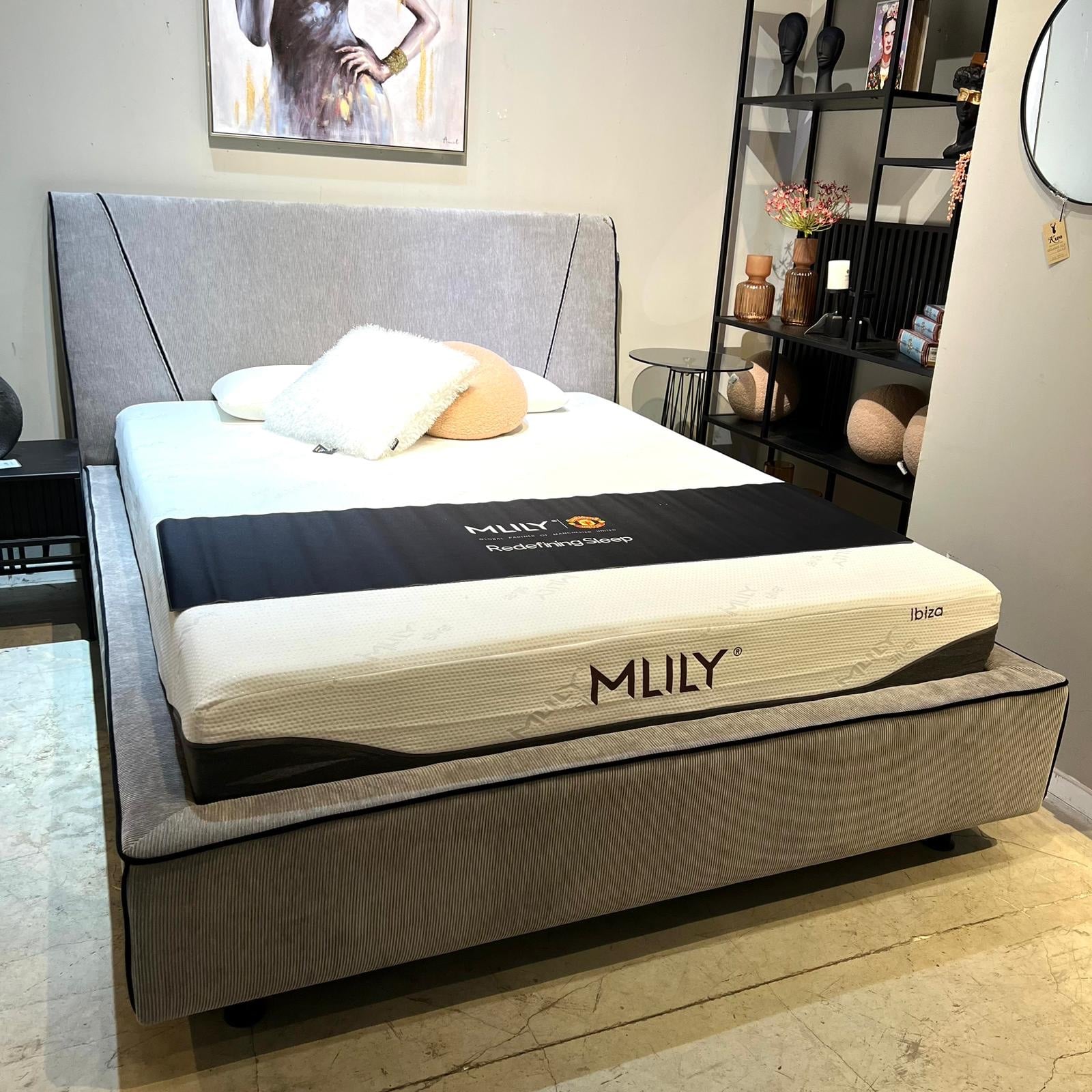 מיטה מעוצבת דגם אסיה בגוון אפור 160/200- חיסול תצוגה (סניף עפולה) מיטה מעוצבת דגם אסיה בגוון אפור 160/200- חיסול תצוגה (סניף עפולה)