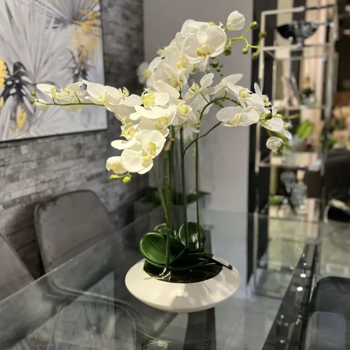 עציץ 5 סחלבים לבנים עציץ 5 סחלבים לבנים