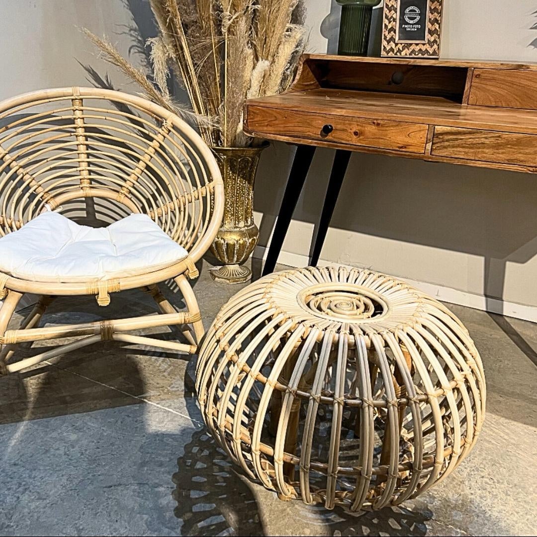 הדום ראטן שנהב דגם בונטיים - אחרון במלאי