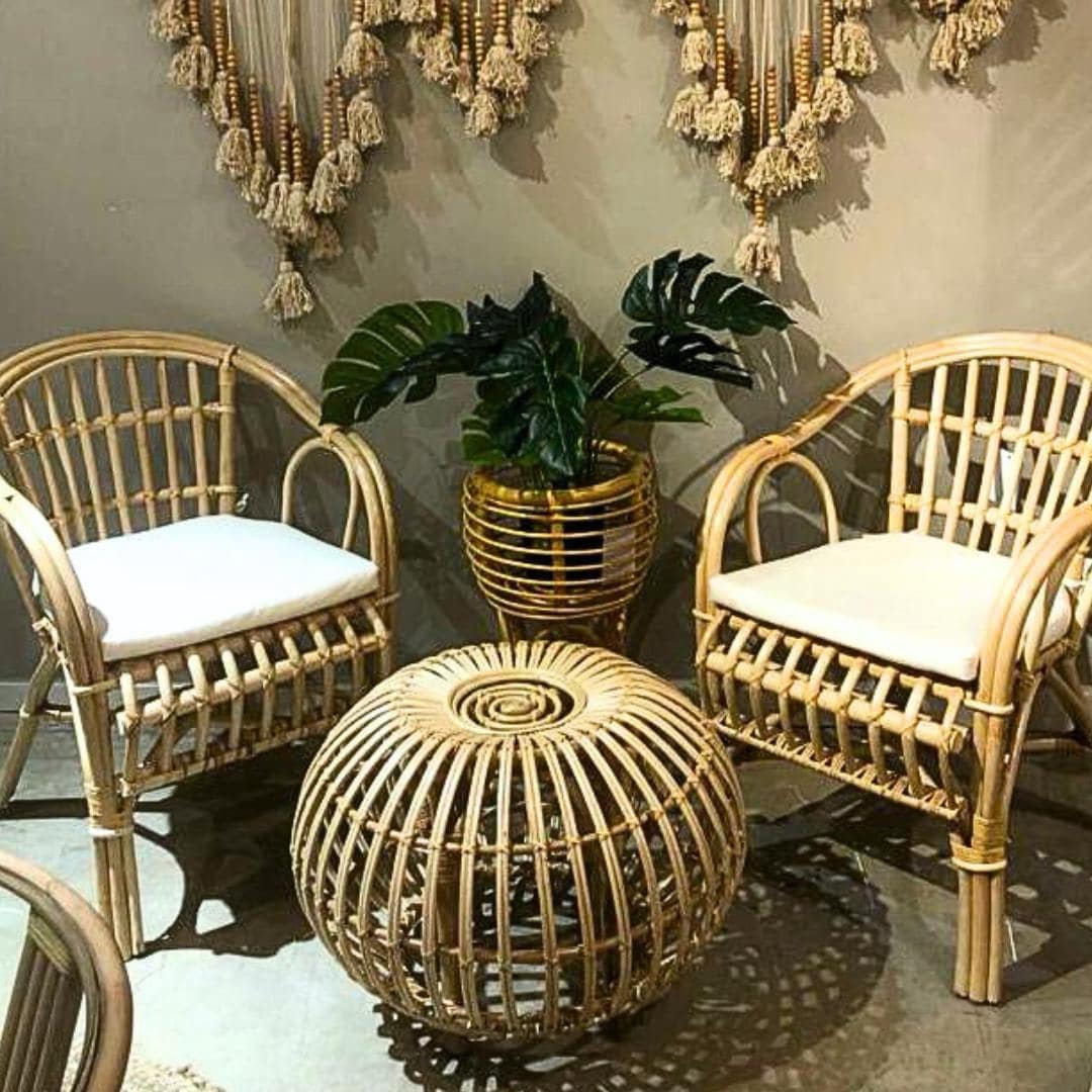 הדום ראטן שנהב דגם בונטיים - אחרון במלאי