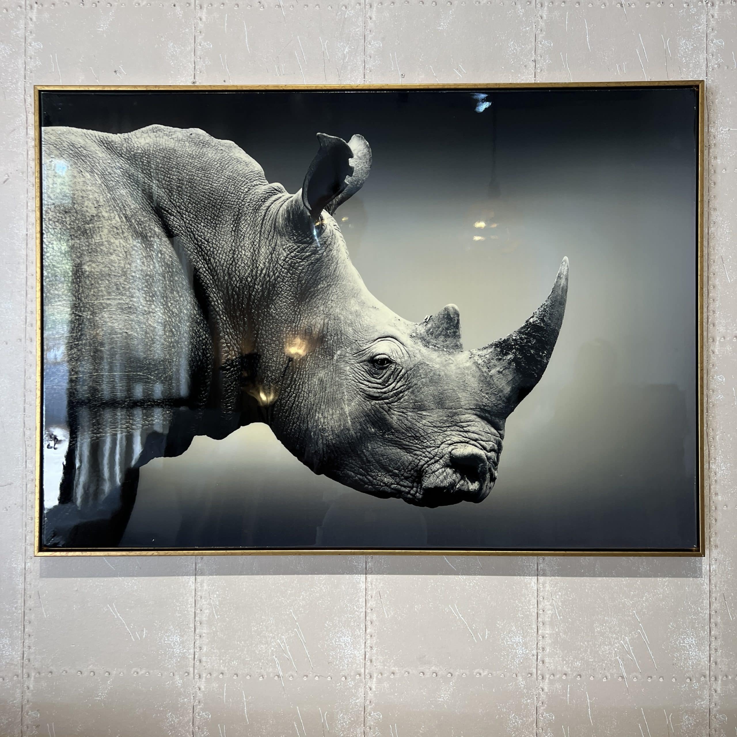 תמונה קרנף מבריקה מסגרת זהב 70/100 דגם איקו