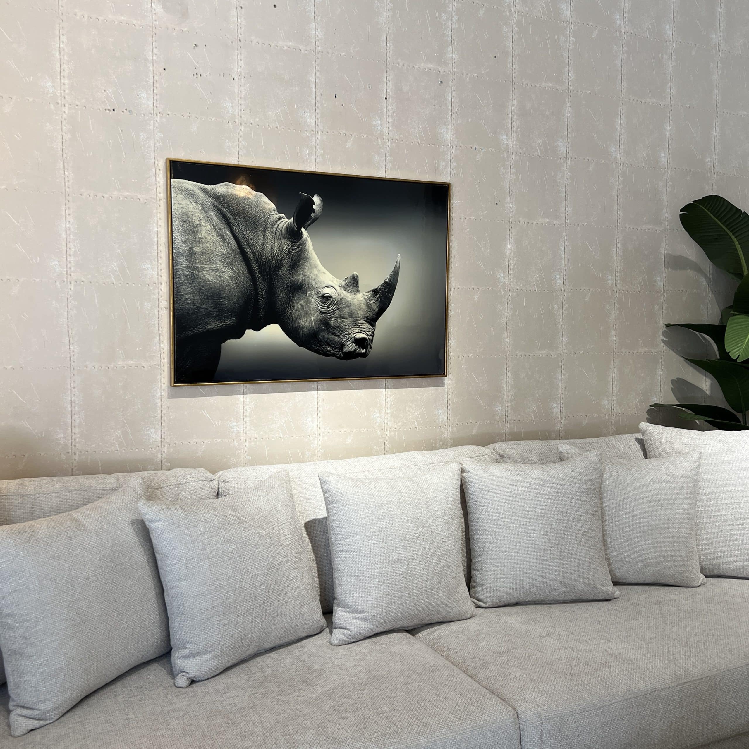 תמונה קרנף מבריקה מסגרת זהב 70/100 דגם איקו