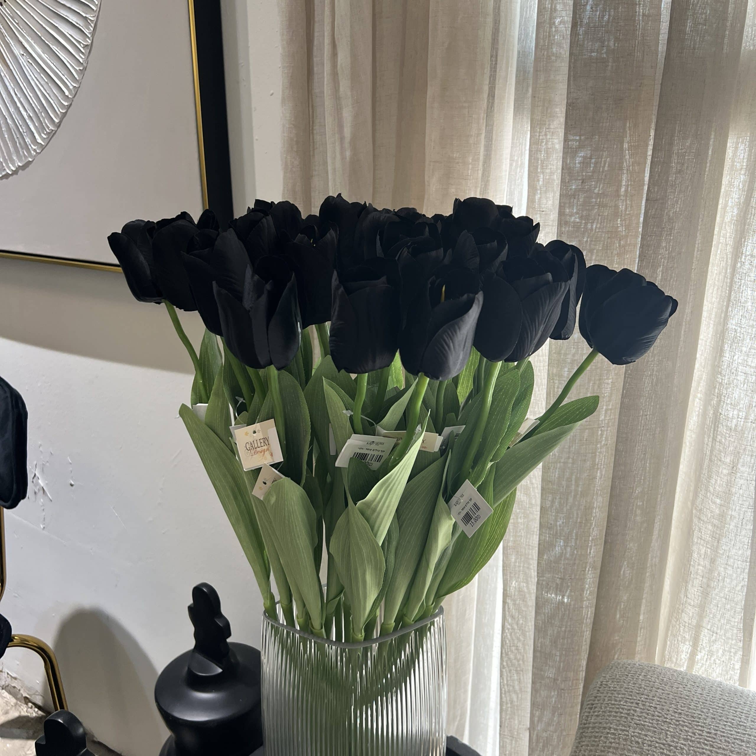 ענף טוליפ שחור ענף טוליפ שחור