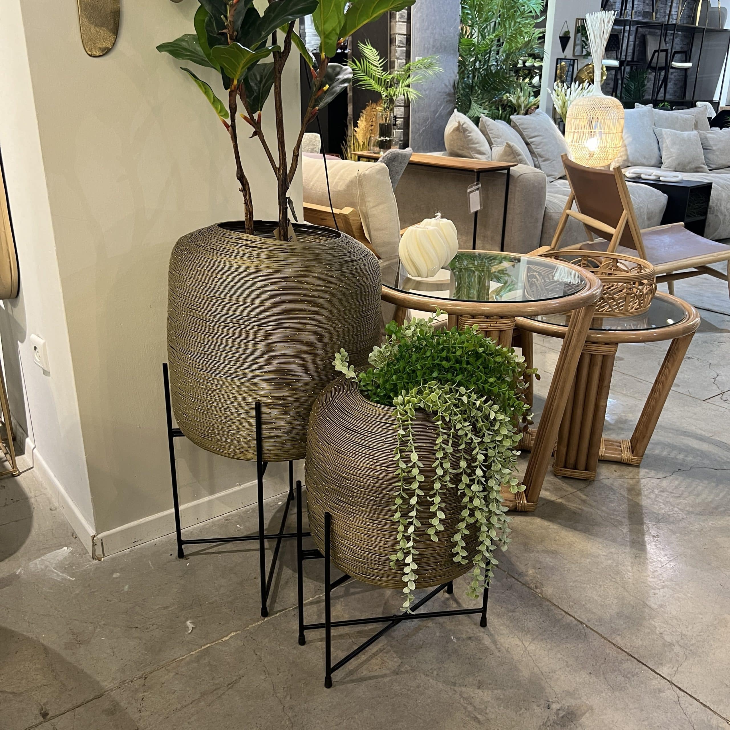 פלנטר דגם ראבי חוטי ברזל זהב עם סטנד פלנטר דגם ראבי חוטי ברזל זהב עם סטנד