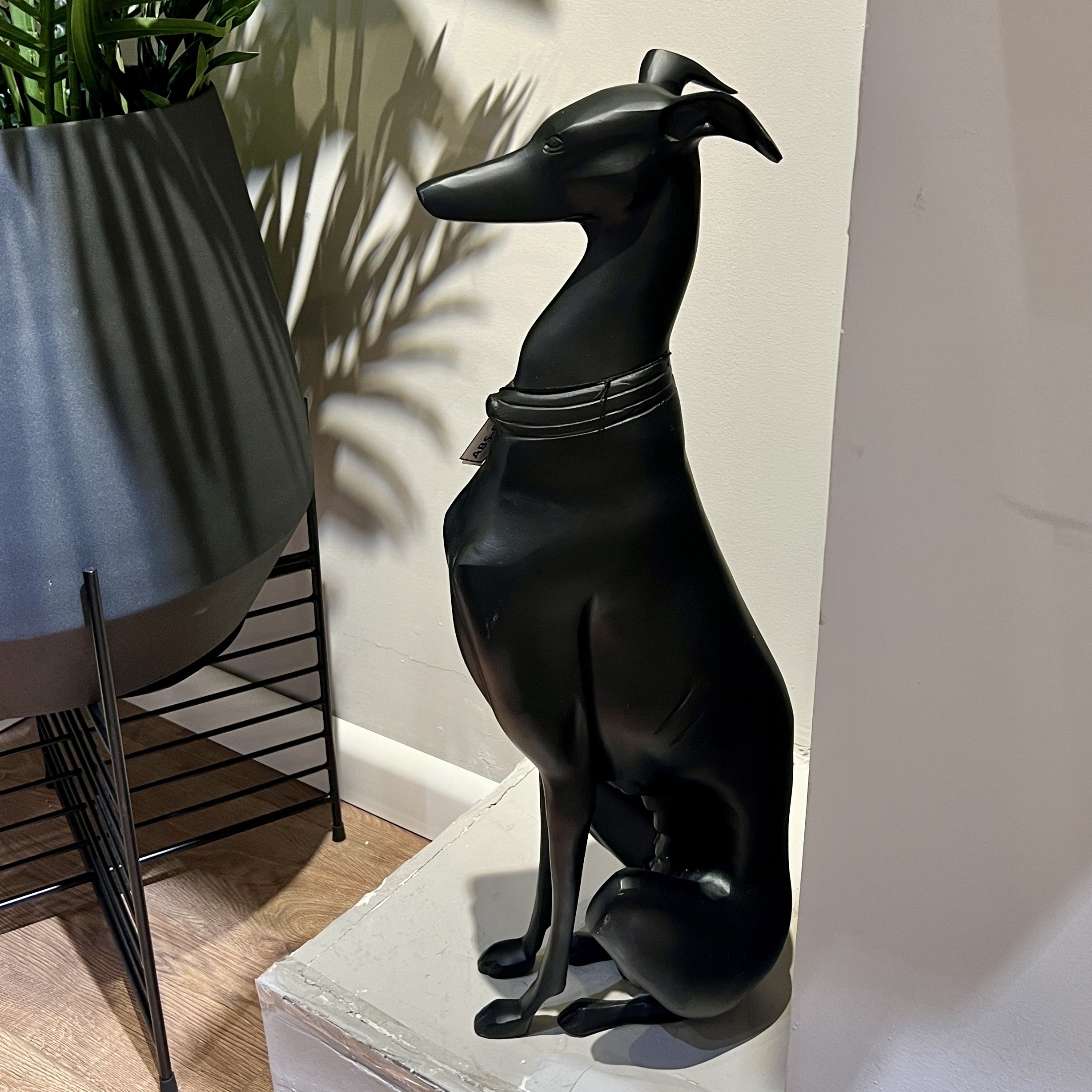 כלב רווח שחור דגם סטרקט כלב רווח שחור דגם סטרקט