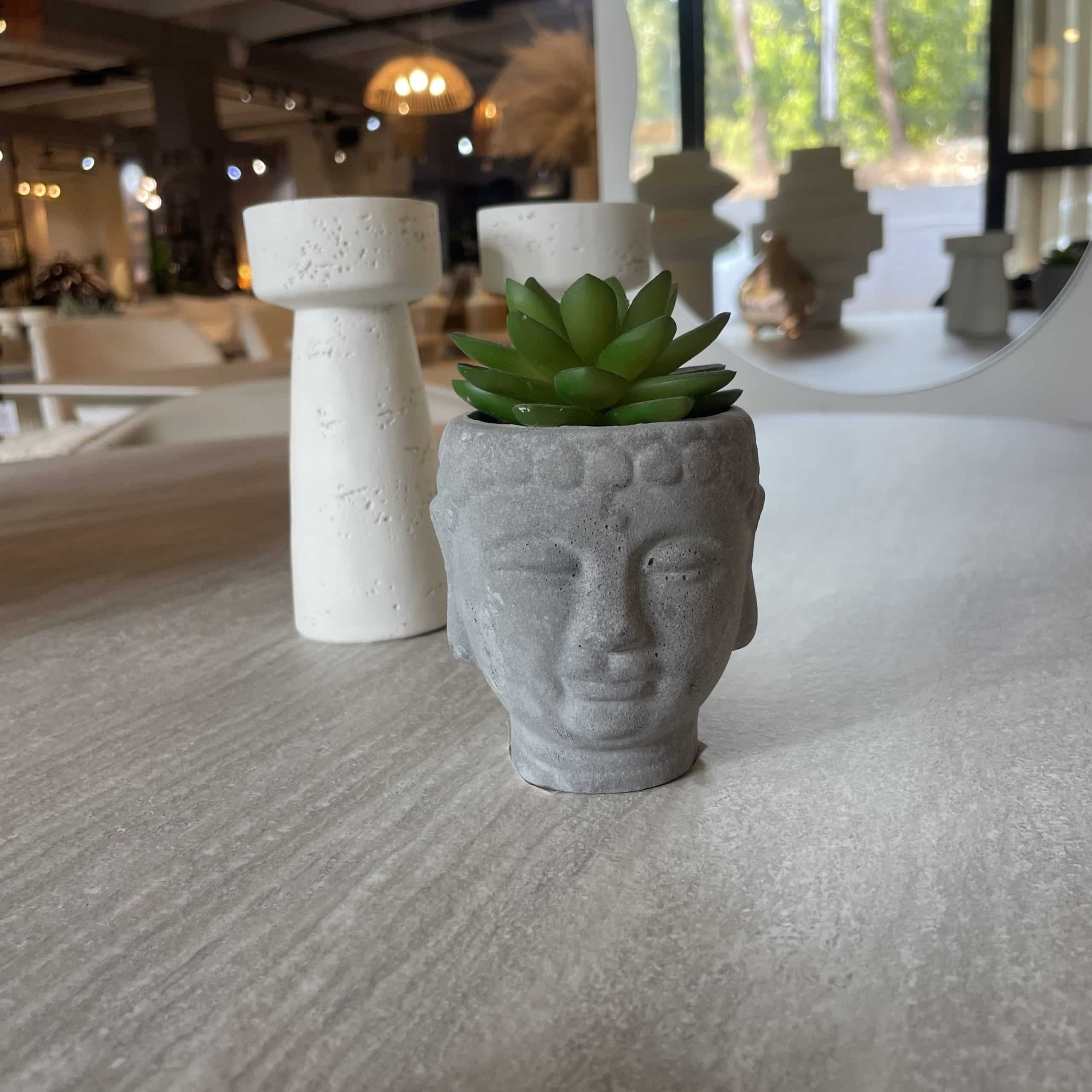 עציץ נוי מיני כד ראש בודהה במבצע עציץ נוי מיני כד ראש בודהה במבצע