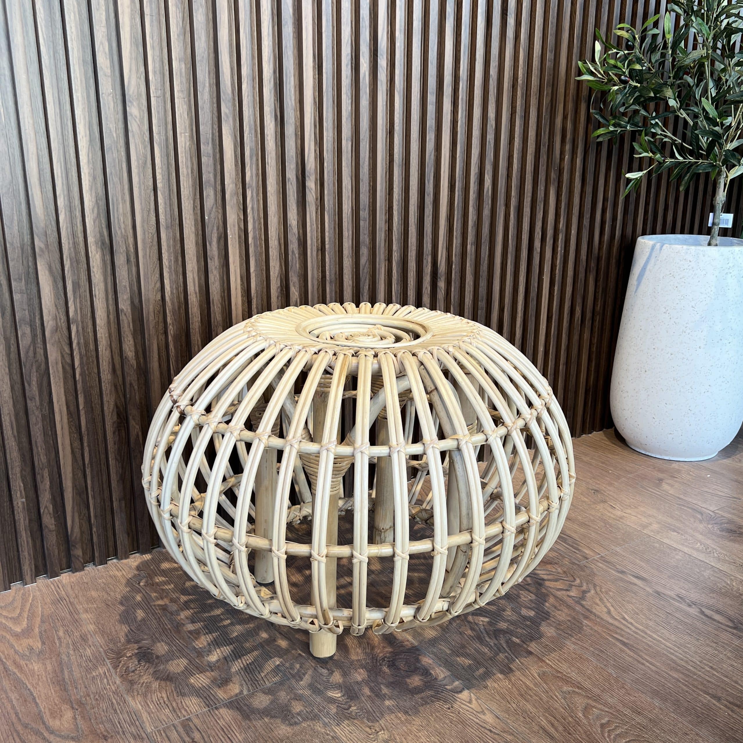 הדום ראטן שנהב דגם בונטיים - אחרון במלאי הדום ראטן שנהב דגם בונטיים - אחרון במלאי