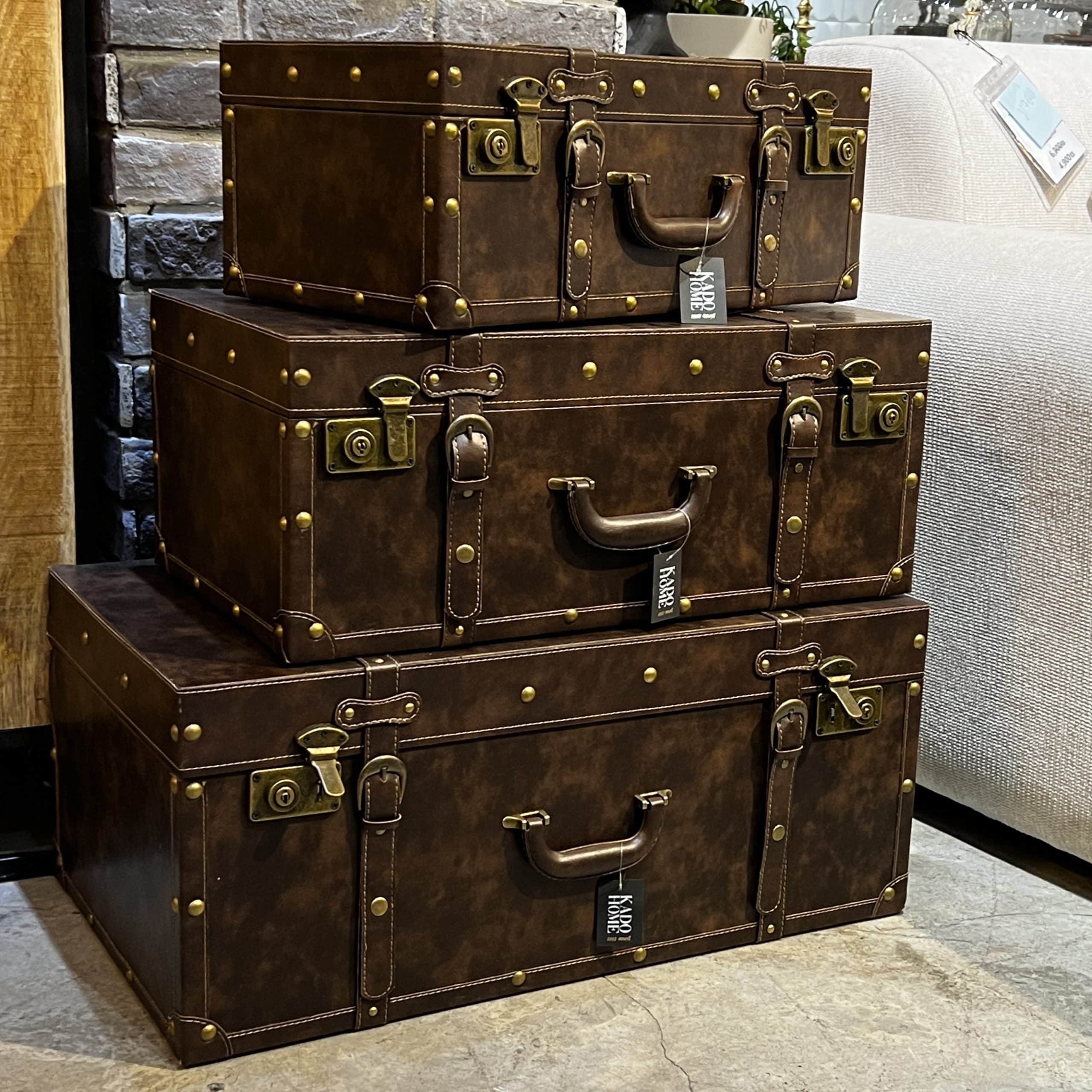 ארגז מזוודה עור מעוצב דגם איקו ארגז מזוודה עור מעוצב דגם איקו