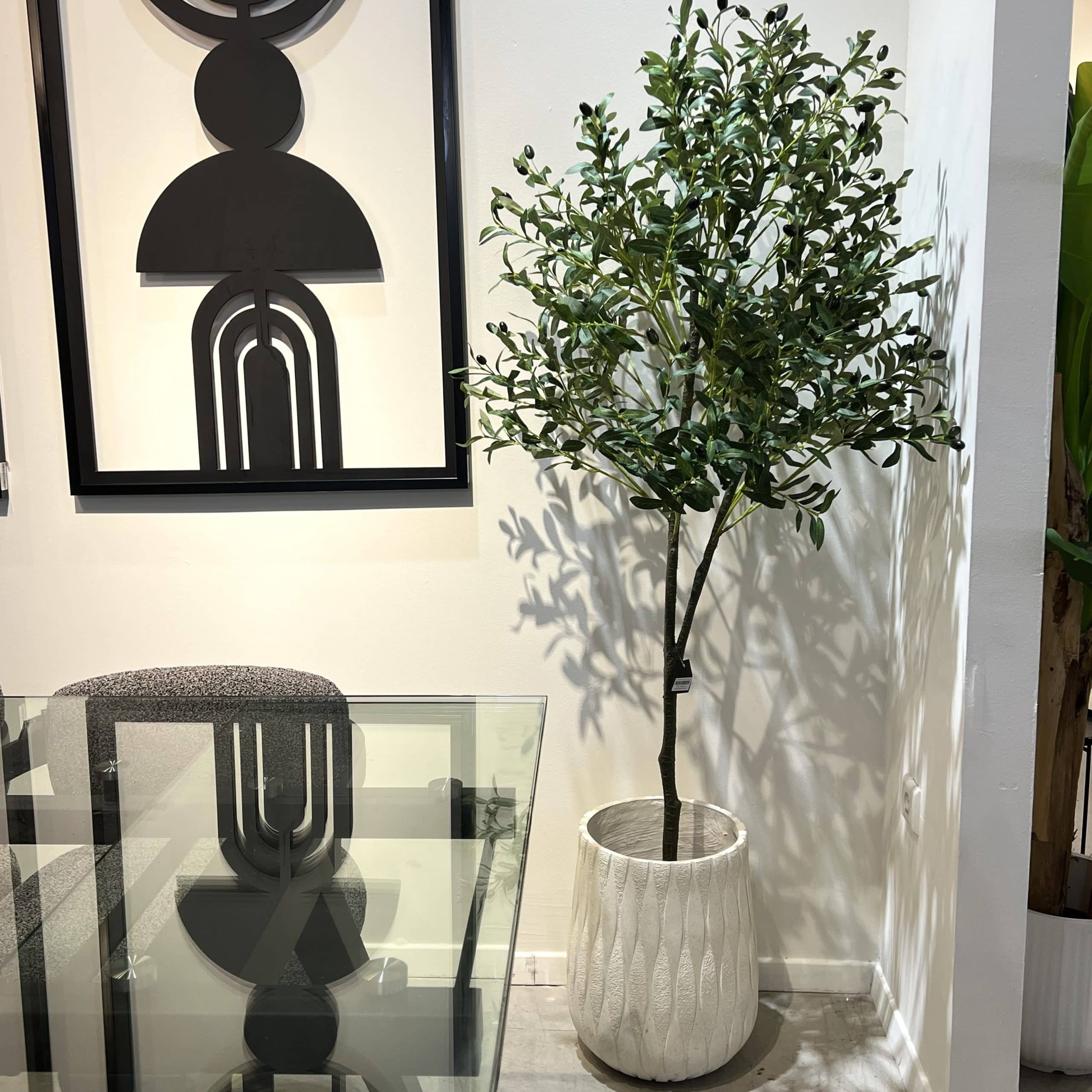 עץ עציץ זית ירוק גובה 170 דגם איקו עץ עציץ זית ירוק גובה 170 דגם איקו