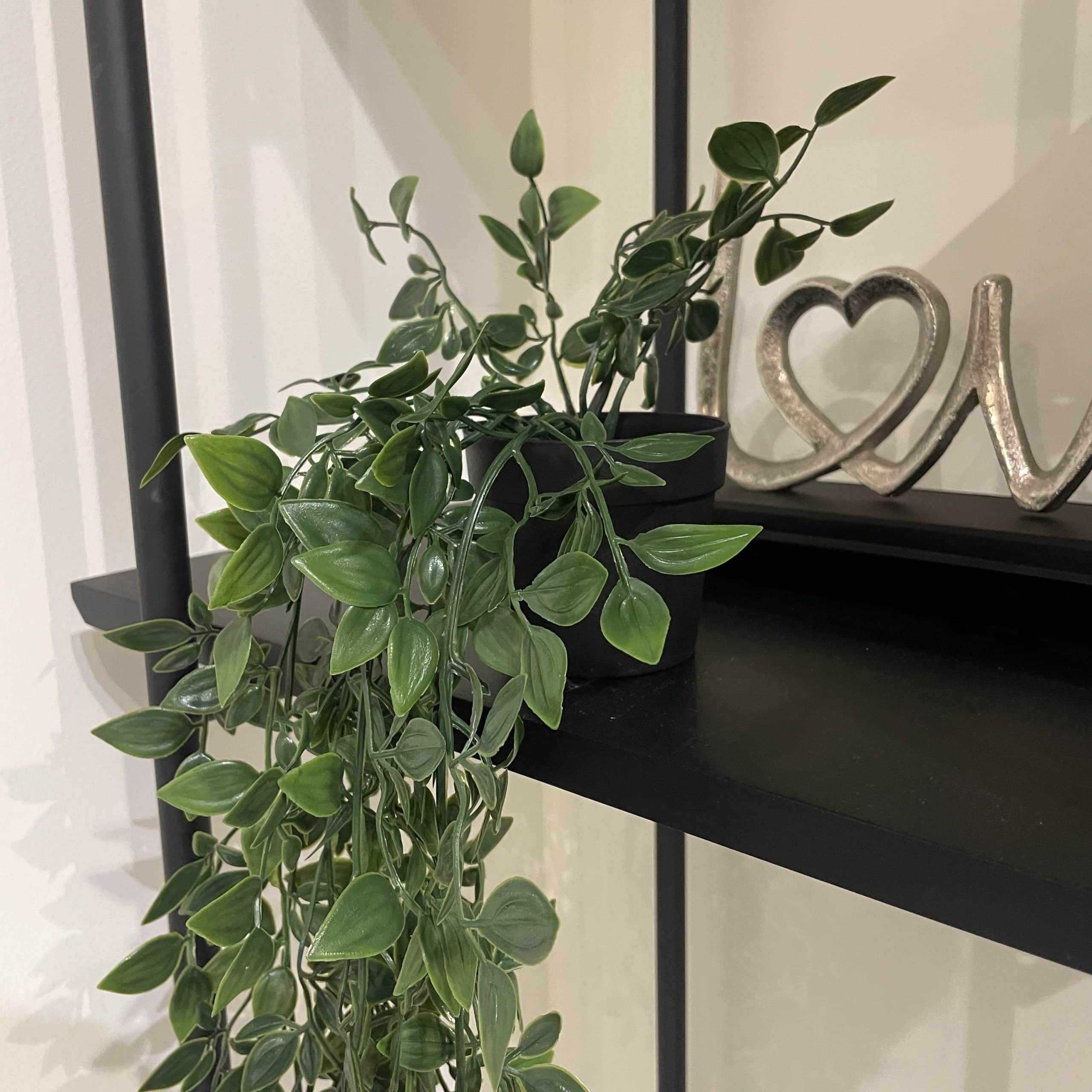 עציץ נשפך כלי שחור אורך 80 דגם איקו עציץ נשפך כלי שחור אורך 80 דגם איקו